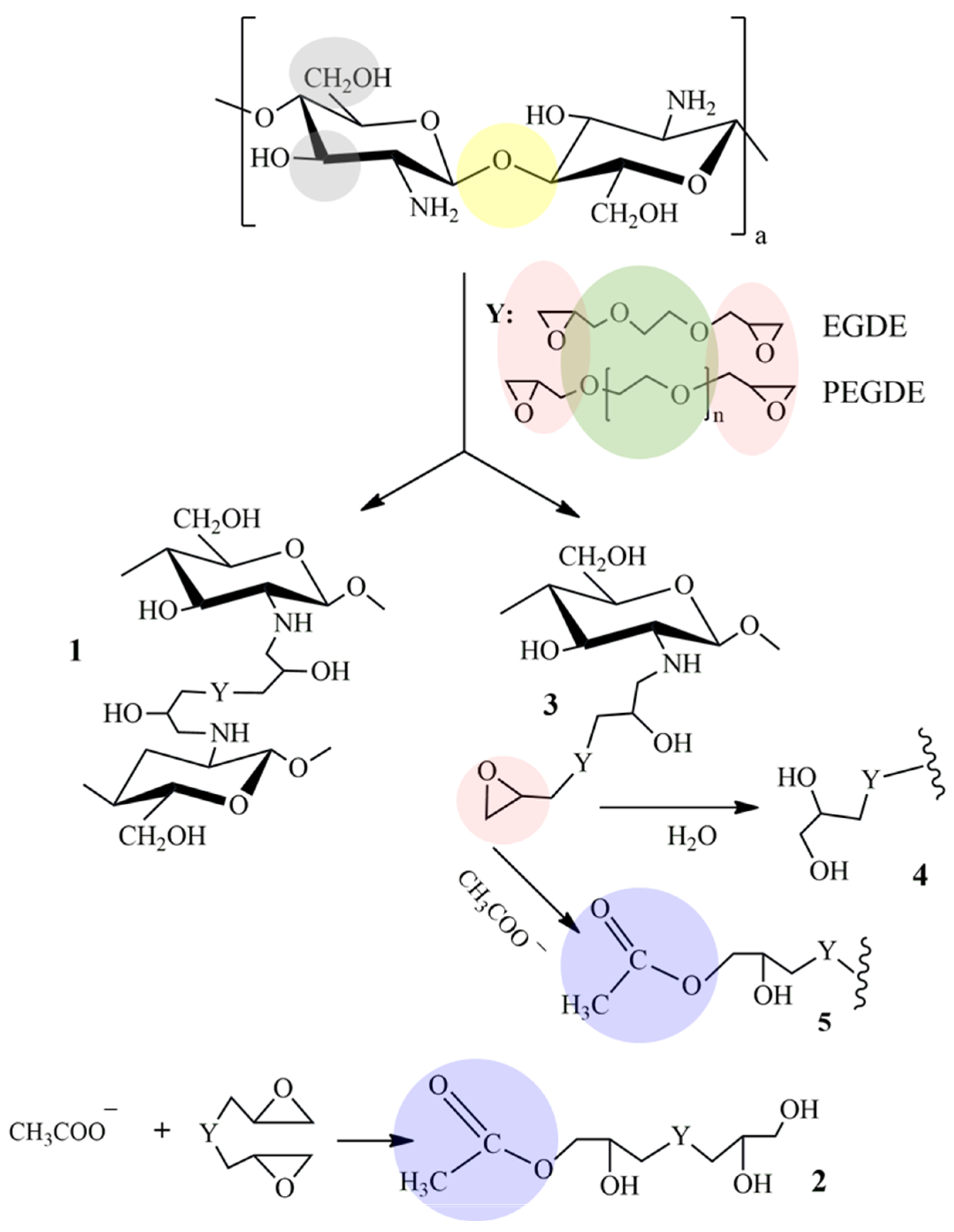 Polysaccharides 05 00046 sch002