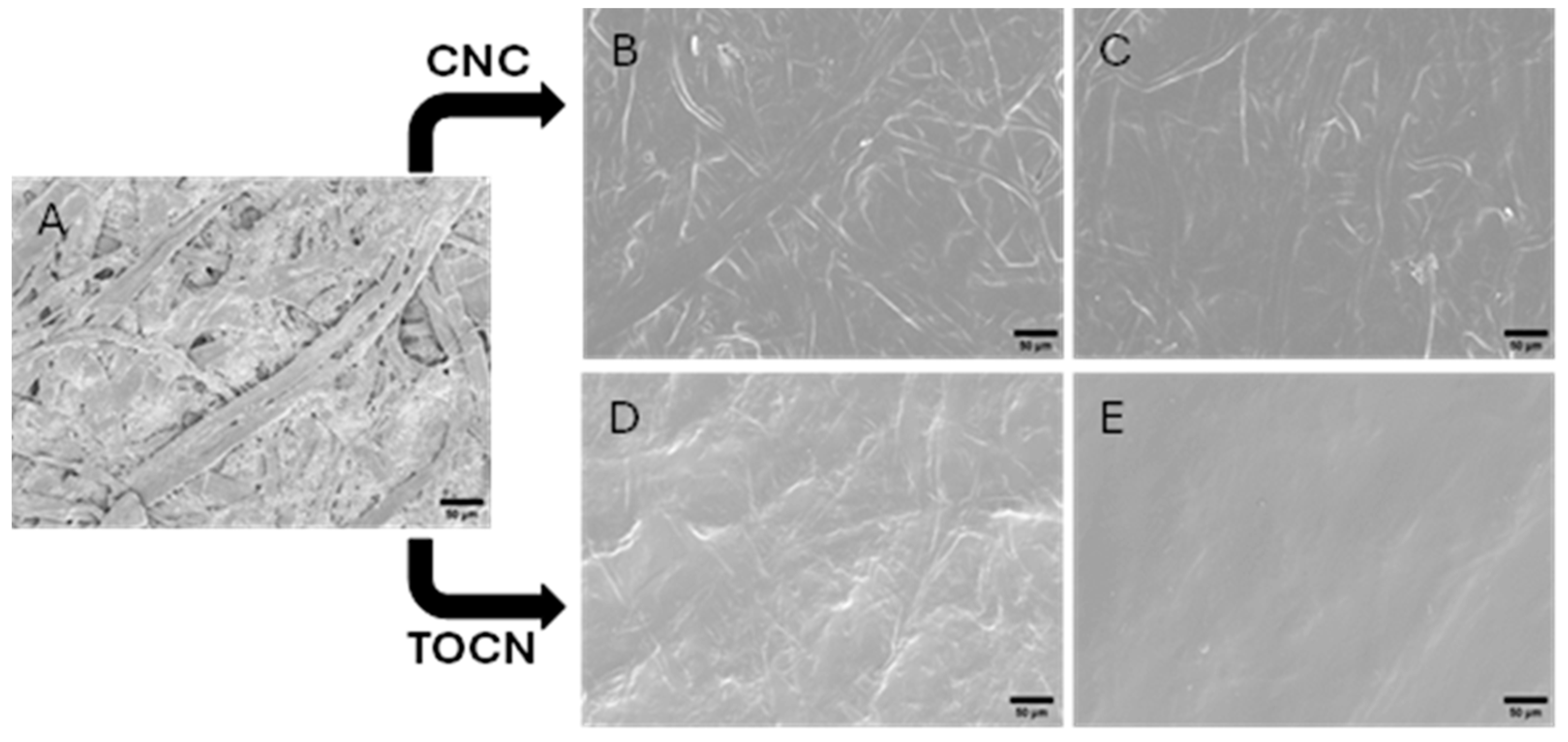 Polysaccharides 05 00049 g001