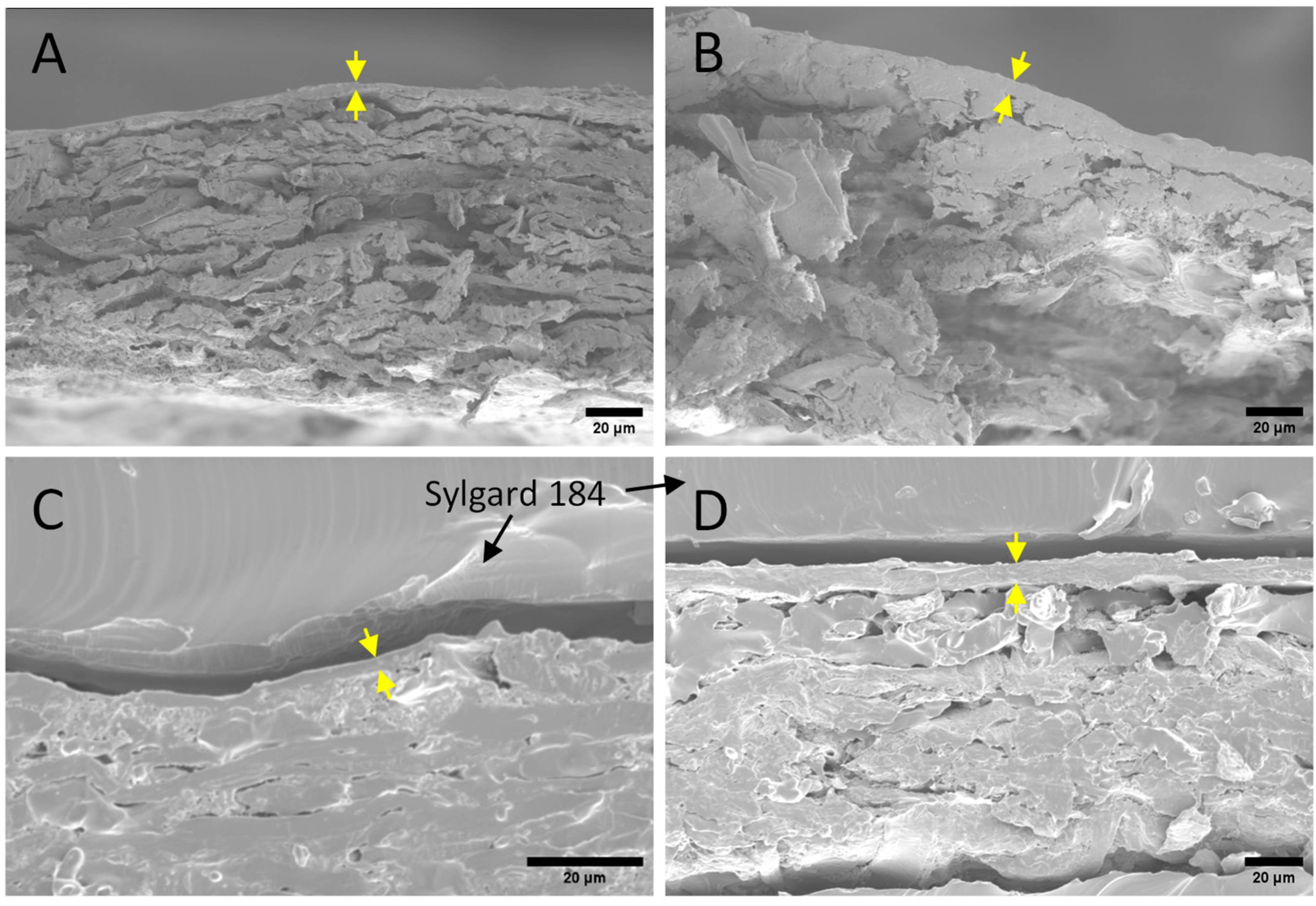 Polysaccharides 05 00049 g002