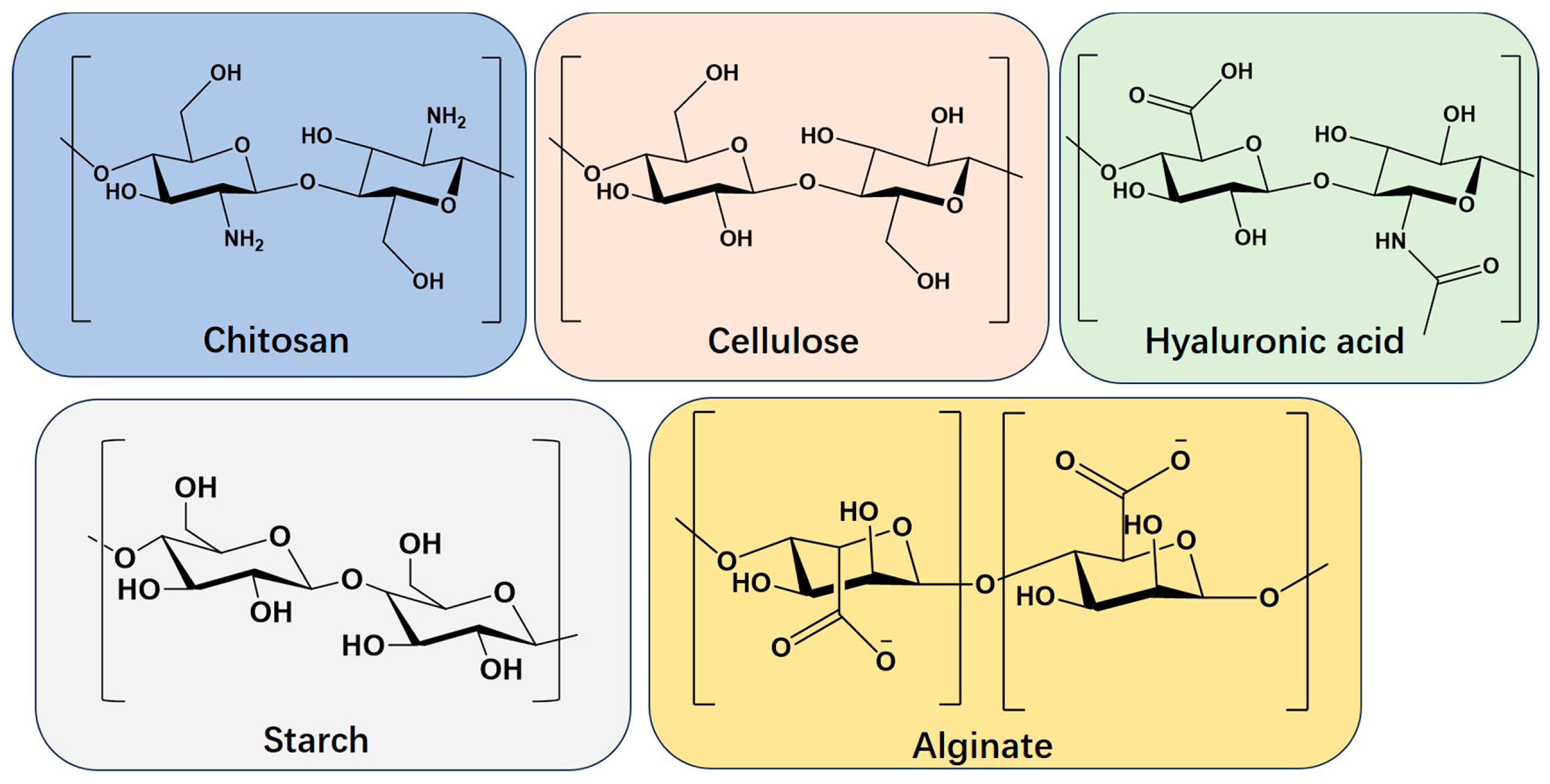 Polysaccharides 06 00025 g001