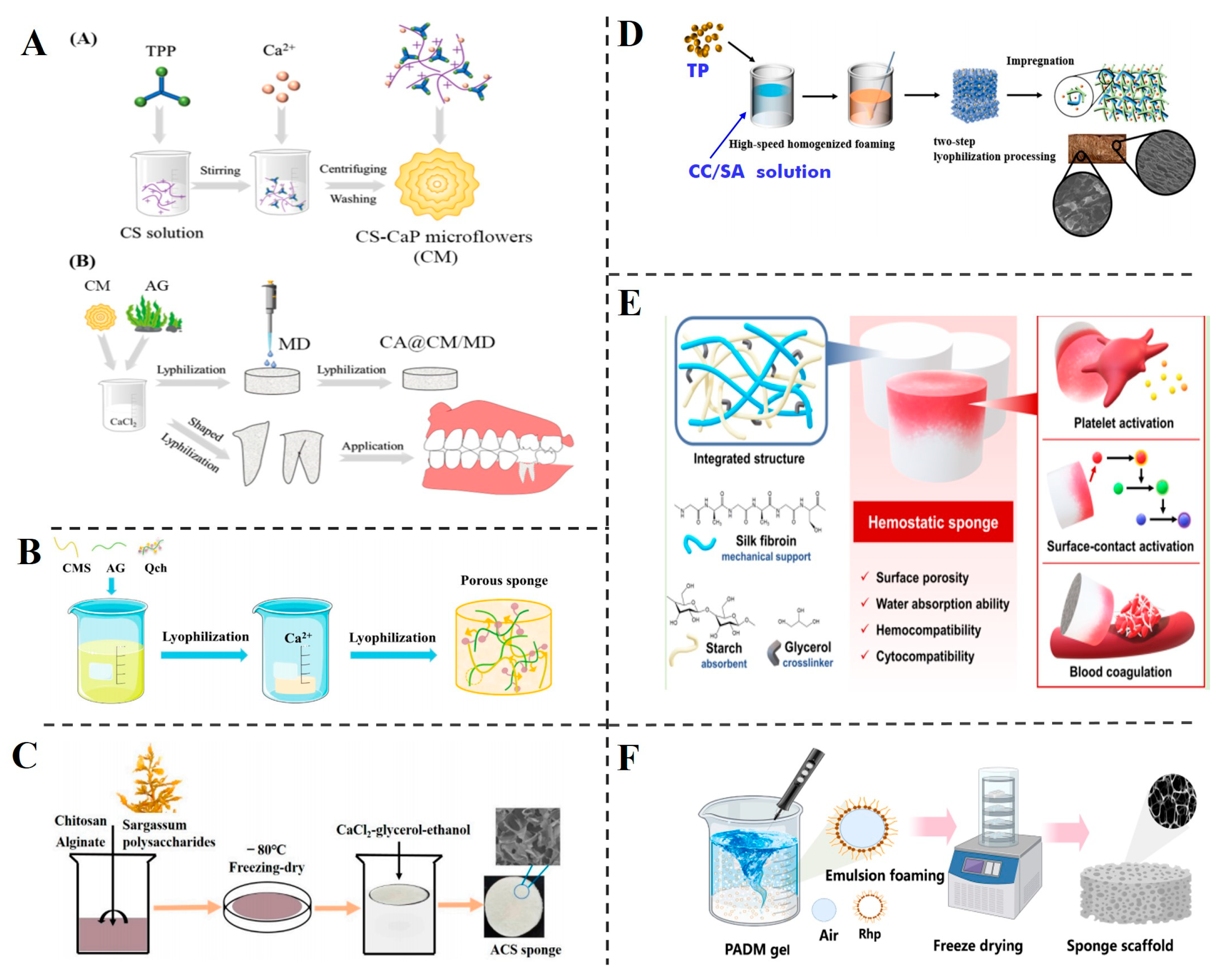 Polysaccharides 06 00025 g004