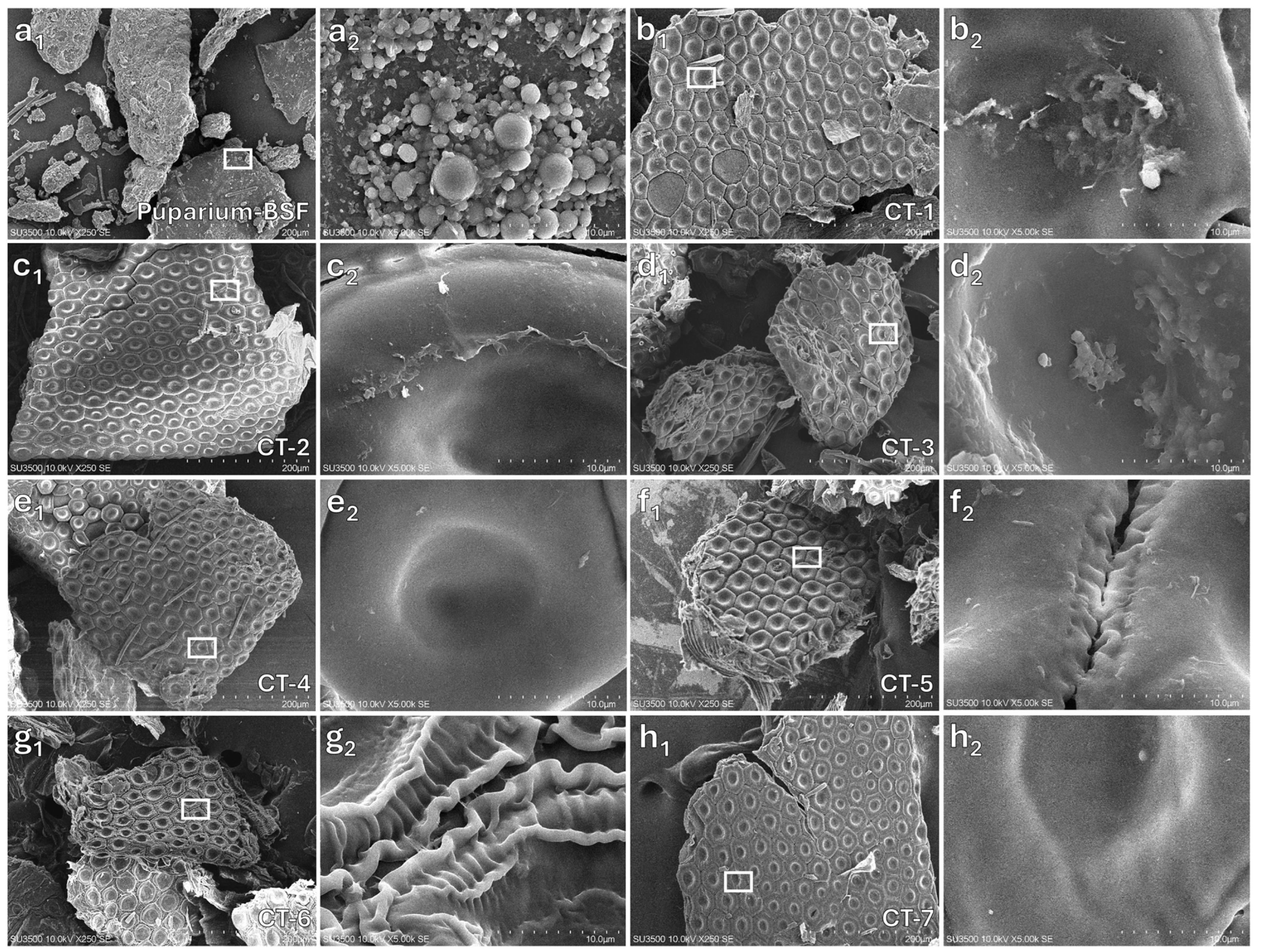 Polysaccharides 06 00026 g002 Polysaccharides 06 00026 g002