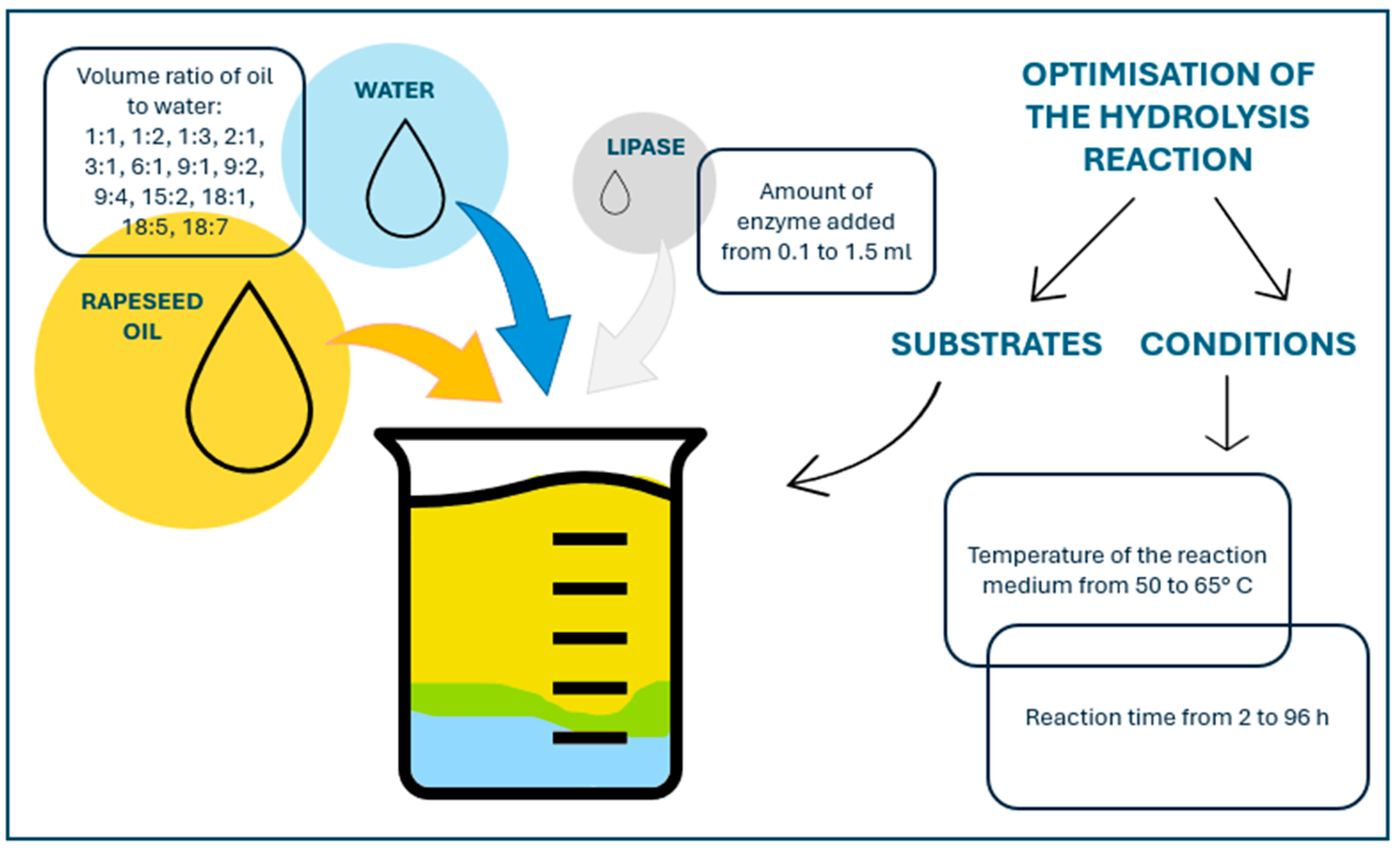 Polysaccharides 06 00029 g002