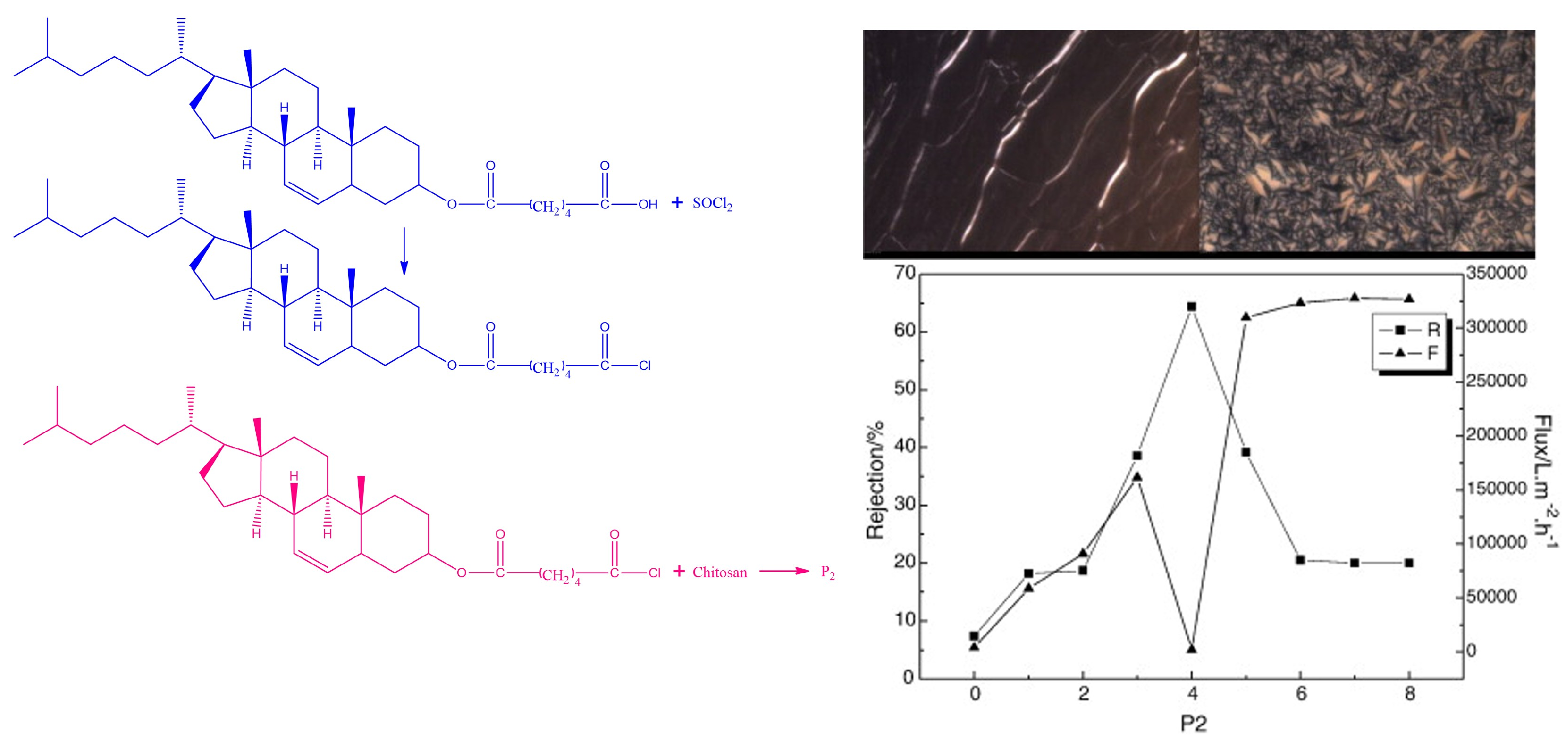 Polysaccharides 06 00031 g006