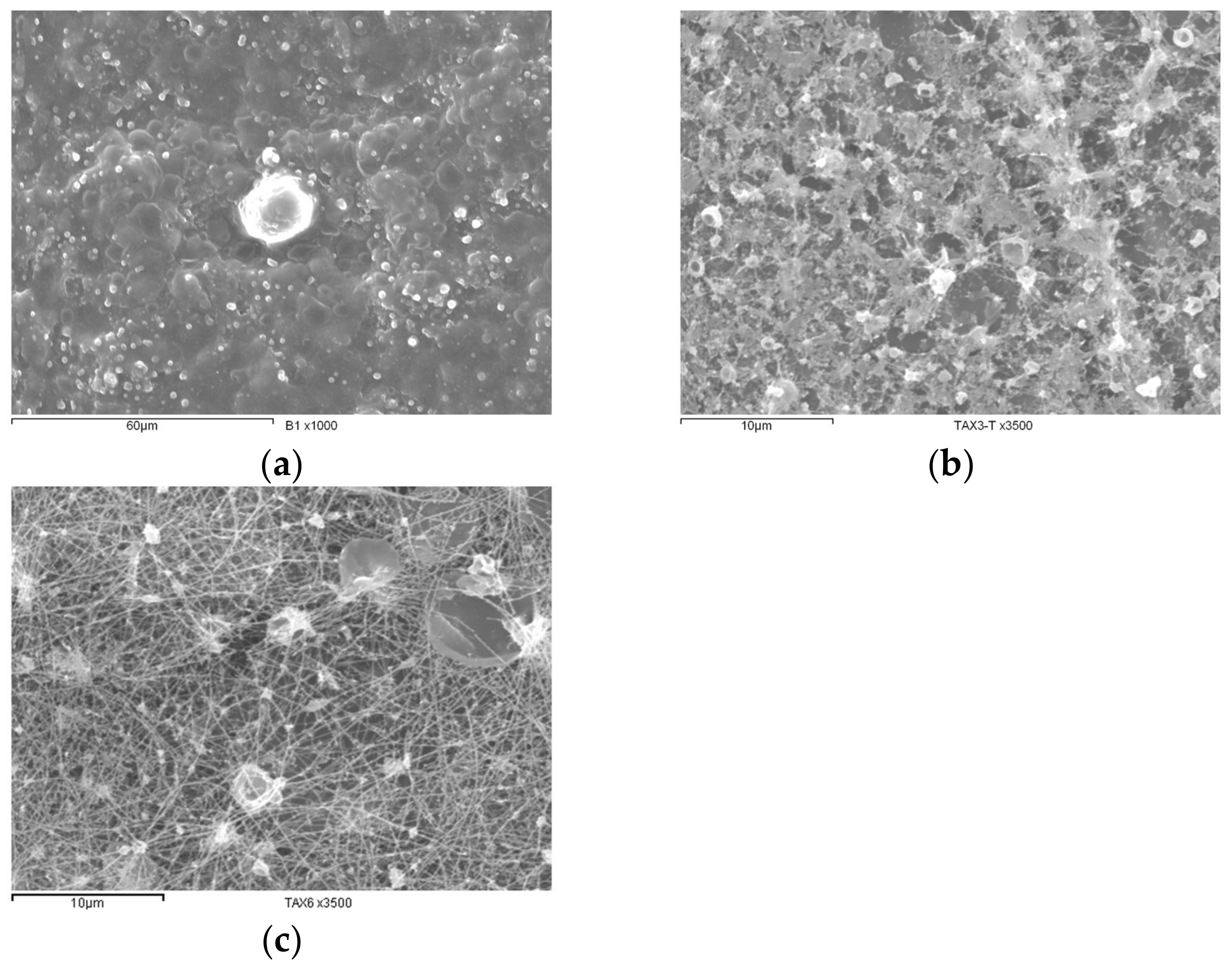 Polysaccharides 06 00032 g007