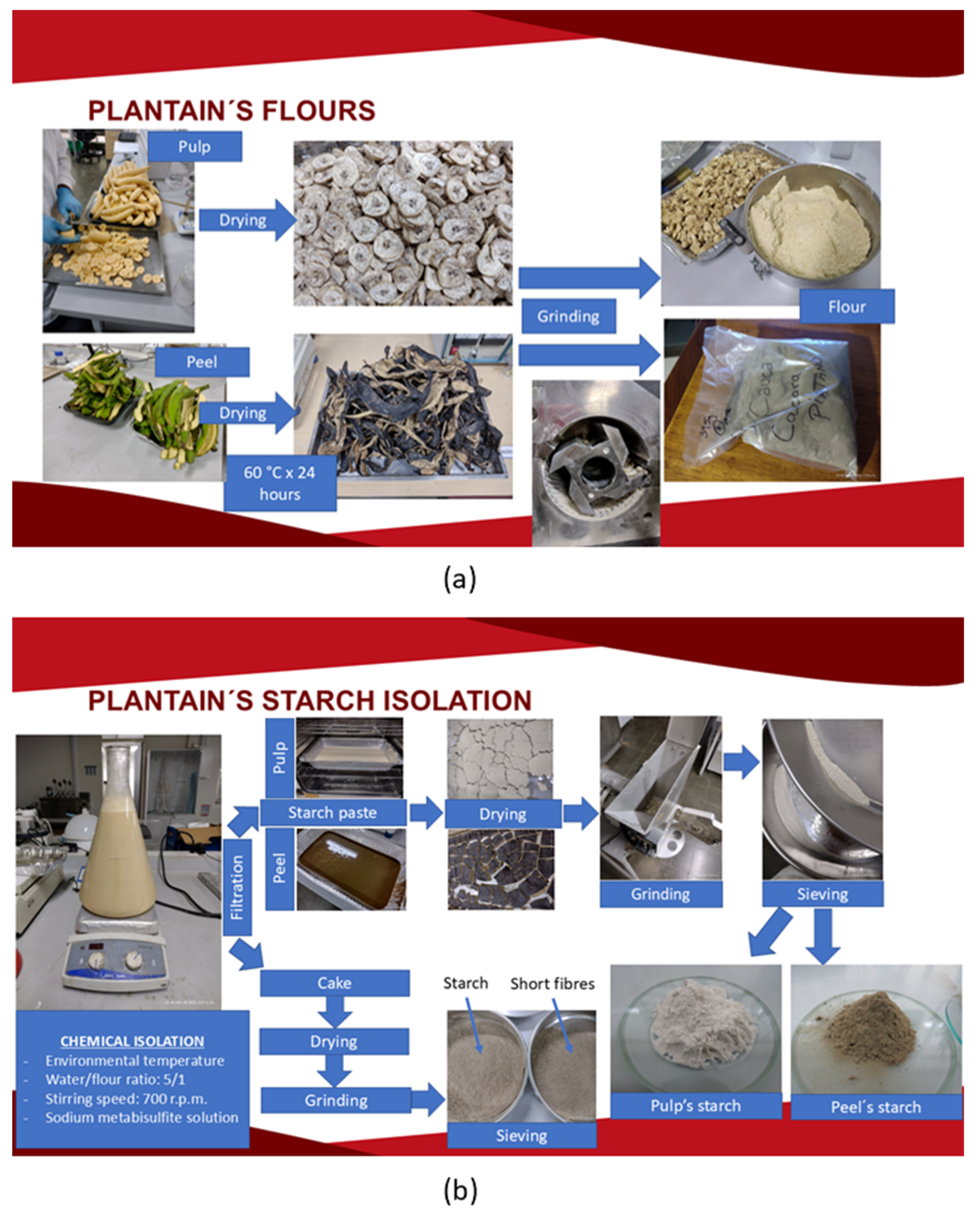 Polysaccharides 06 00034 g001