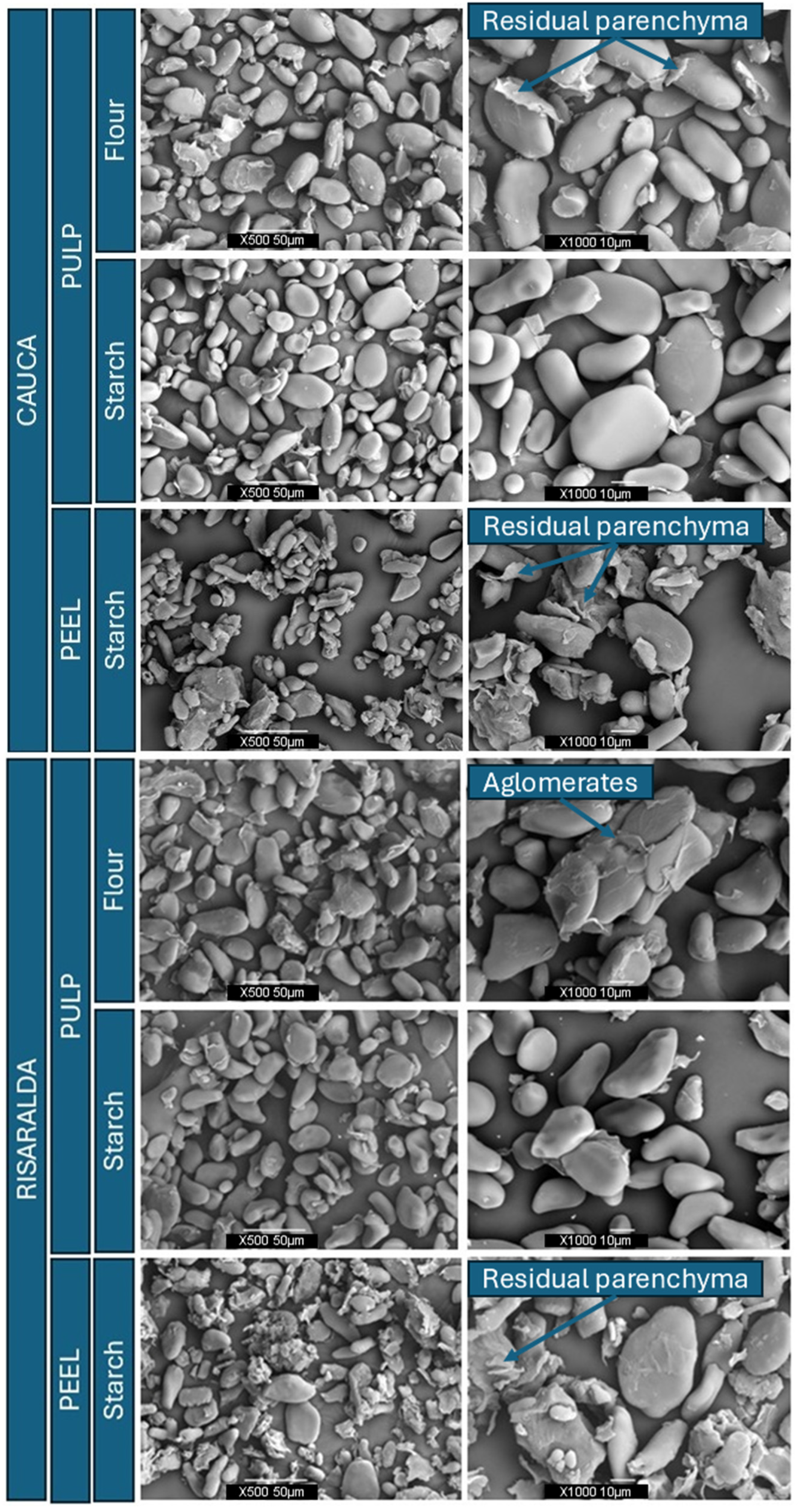 Polysaccharides 06 00034 g002