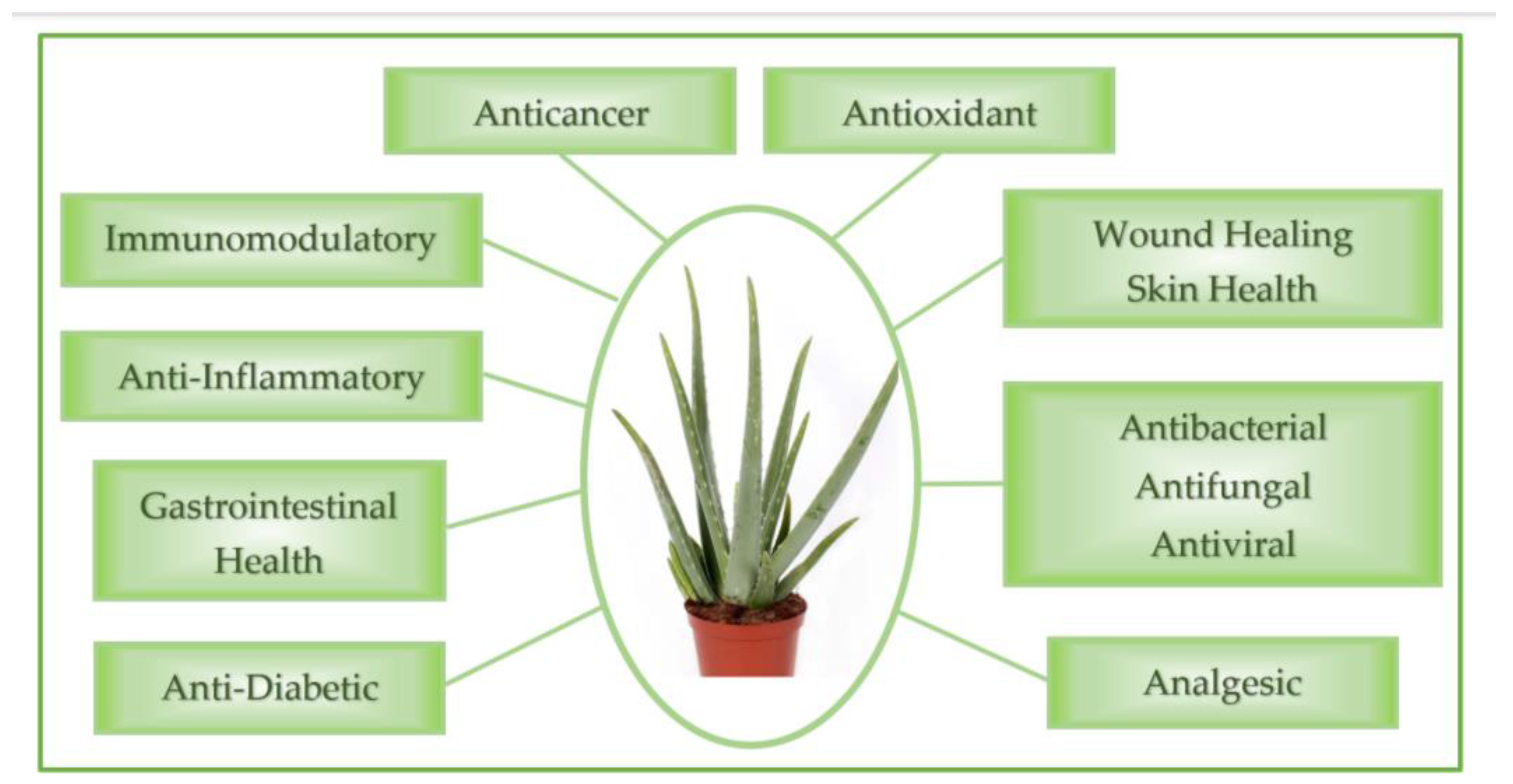 Polysaccharides 06 00036 g003 Polysaccharides 06 00036 g003