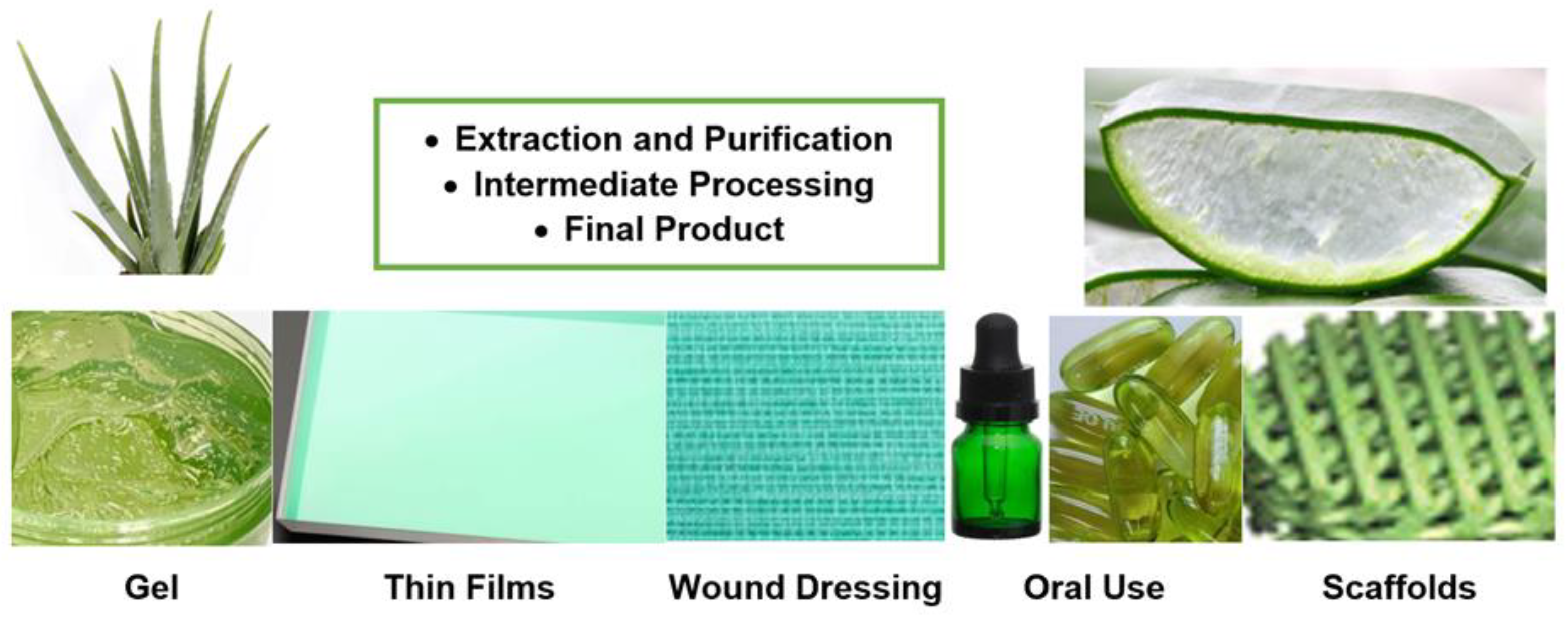 Polysaccharides 06 00036 g004 Polysaccharides 06 00036 g004