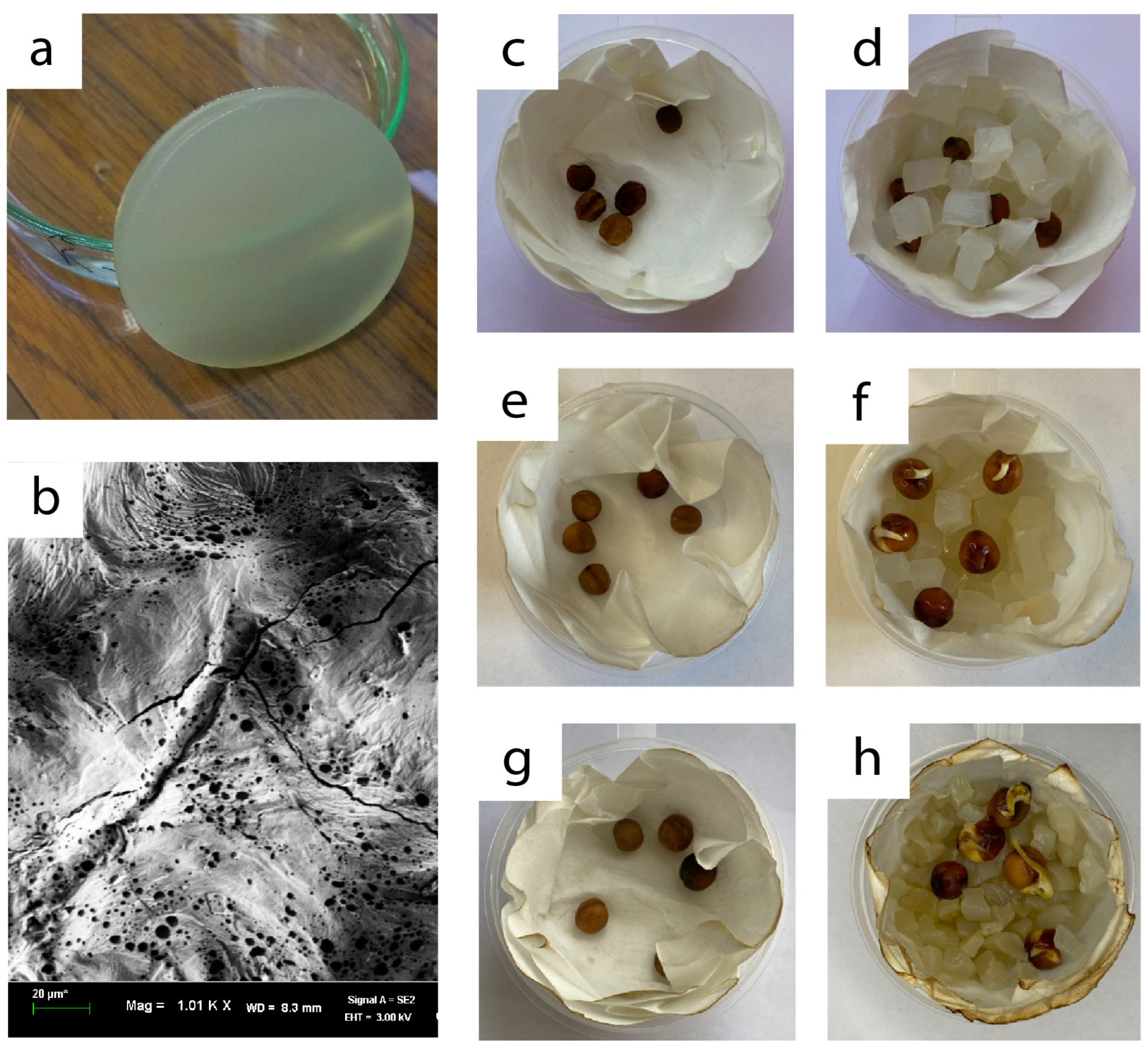 Polysaccharides 06 00037 g003