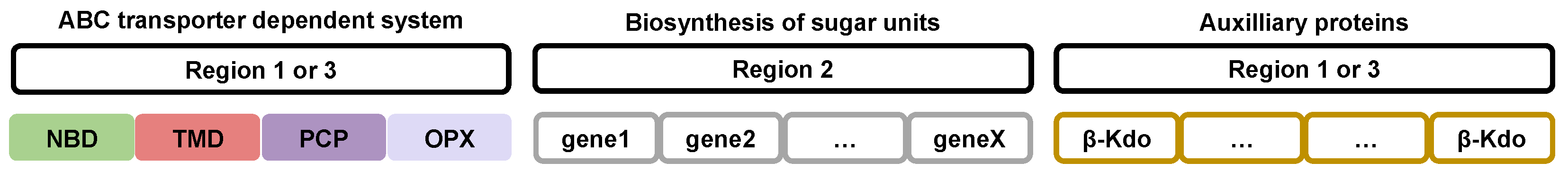 Polysaccharides 06 00038 g002