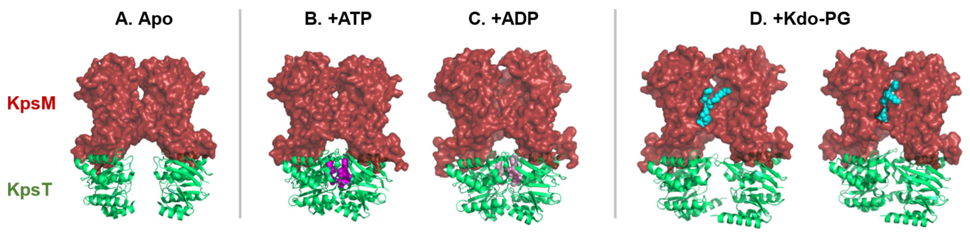 Polysaccharides 06 00038 g005
