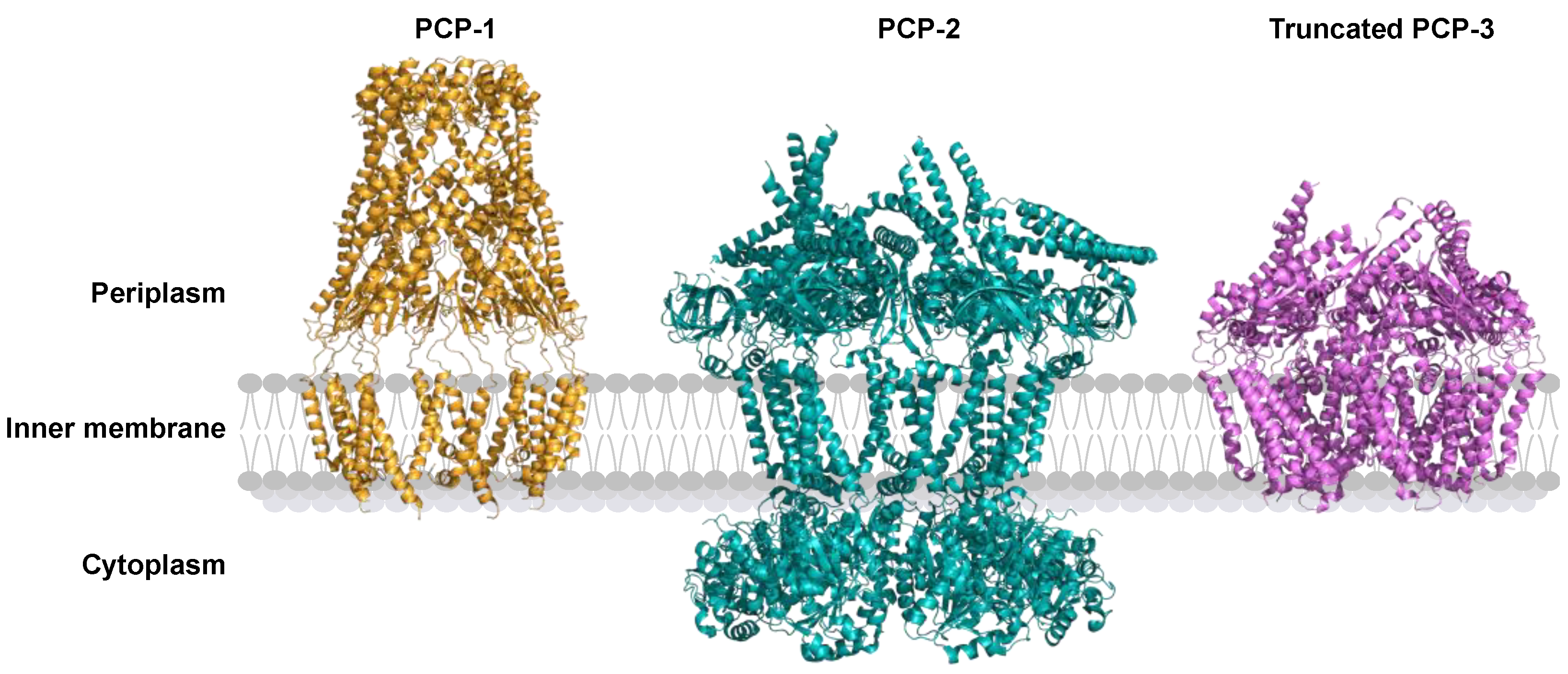 Polysaccharides 06 00038 g006