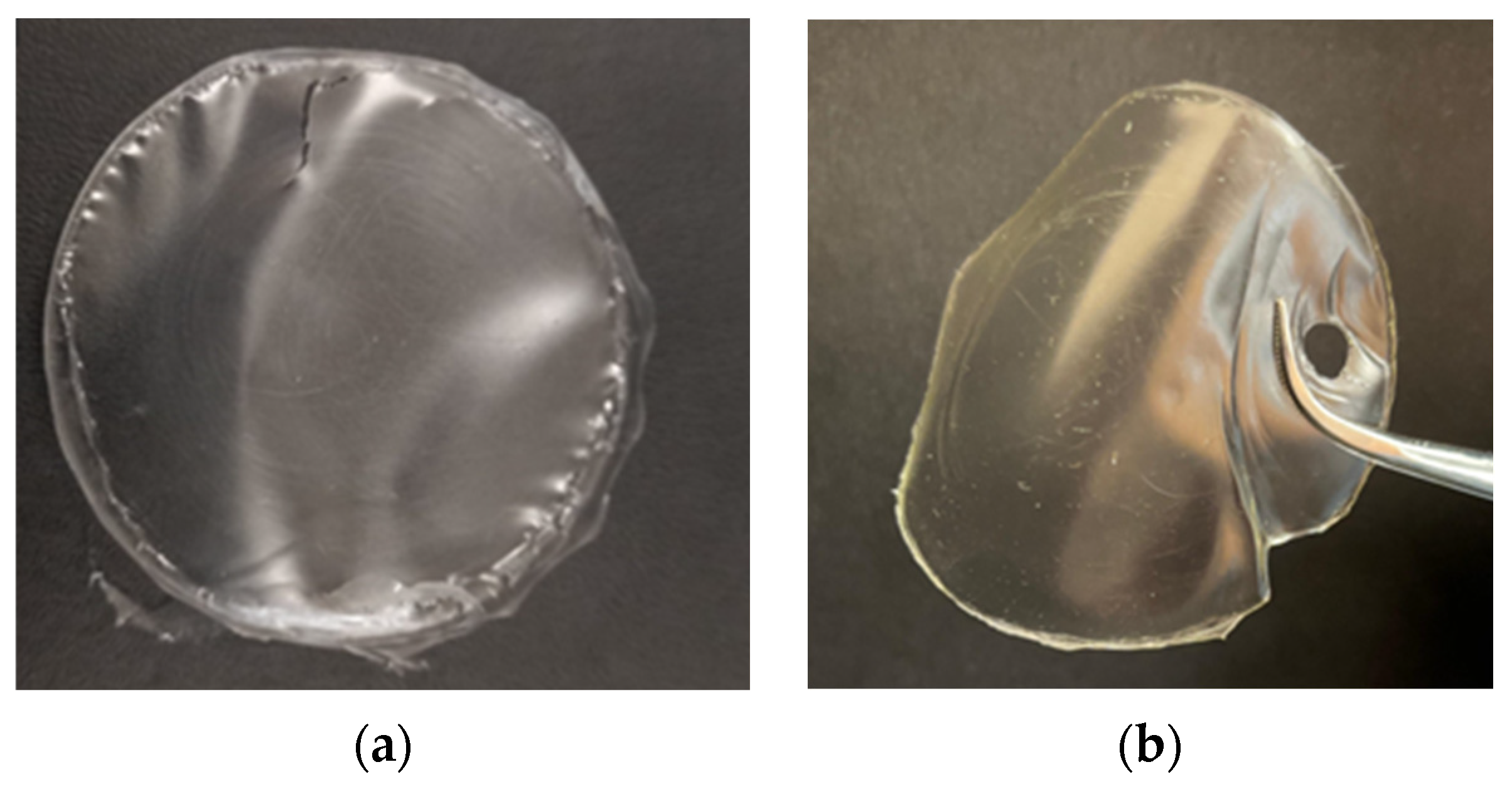 Polysaccharides 06 00040 g008