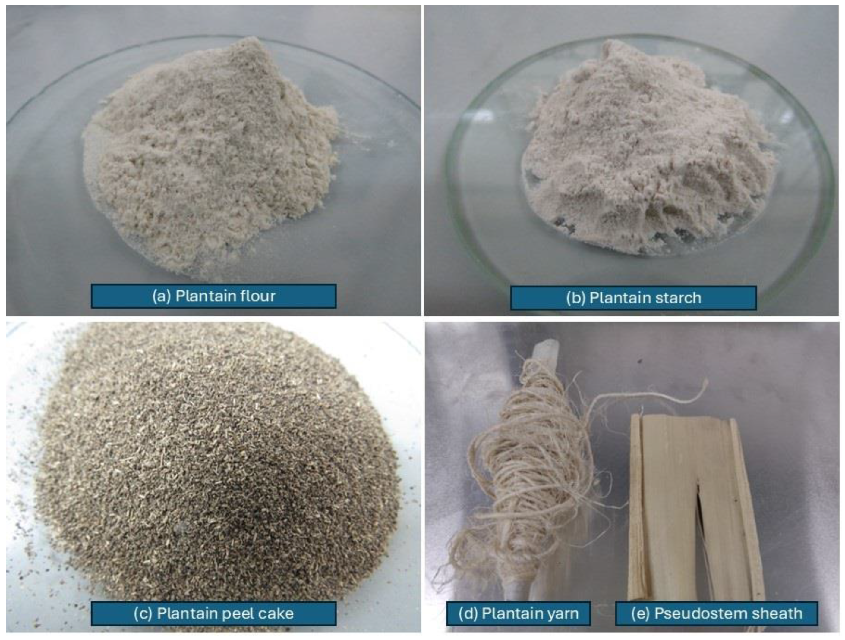 Polysaccharides 06 00041 g001