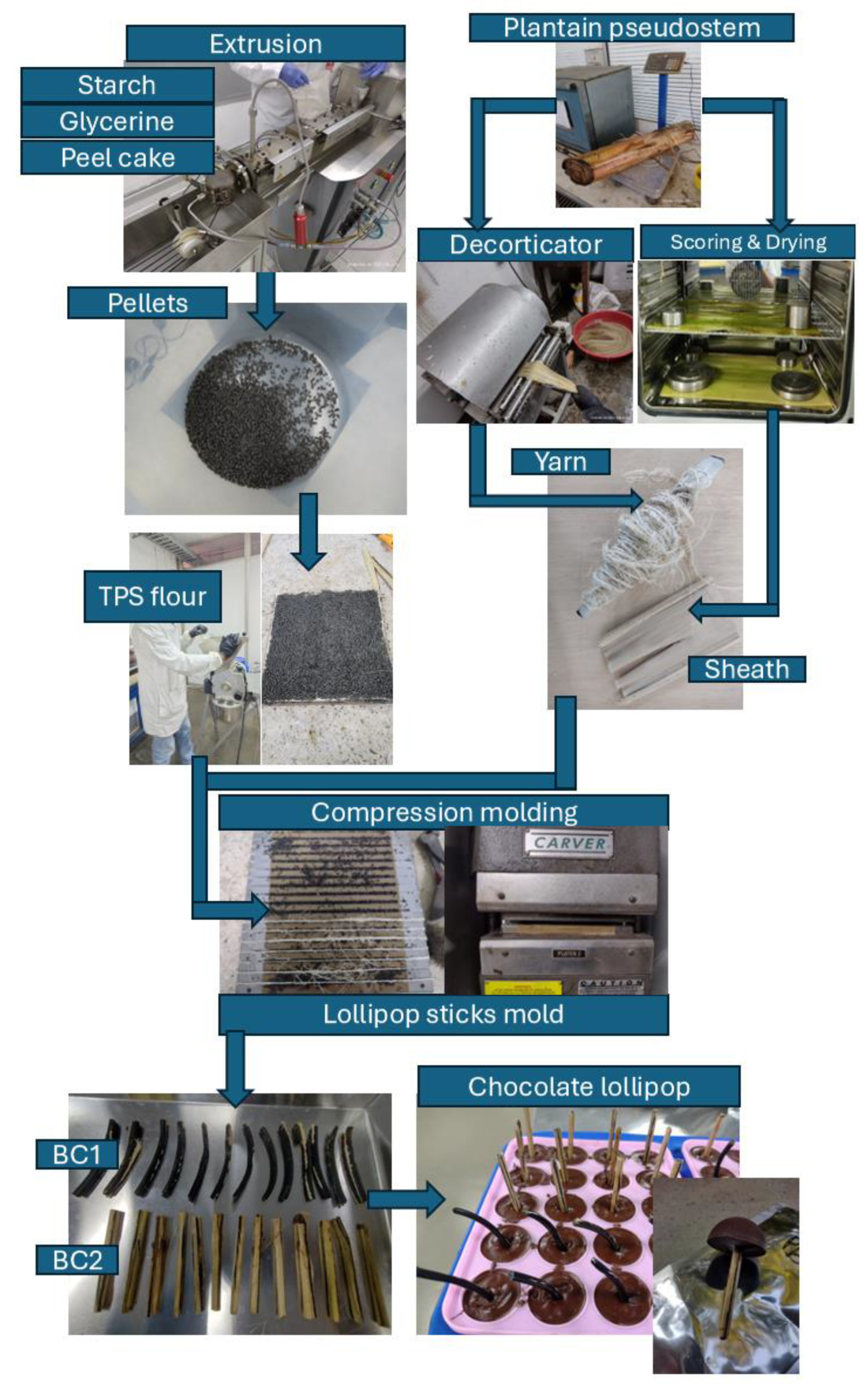 Polysaccharides 06 00041 g002
