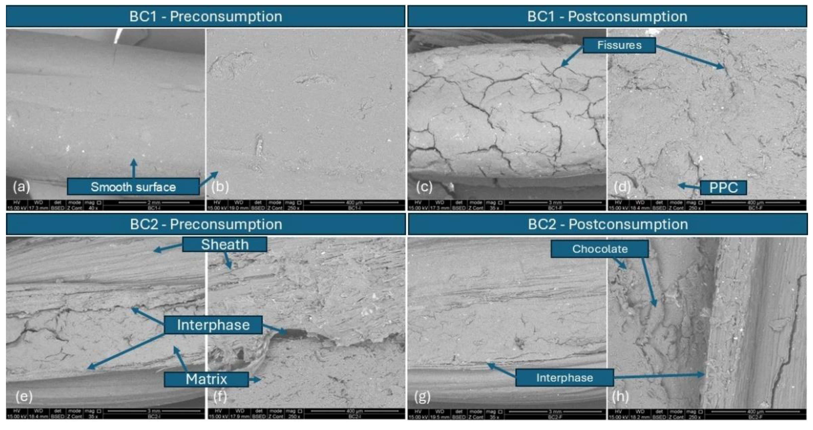 Polysaccharides 06 00041 g008