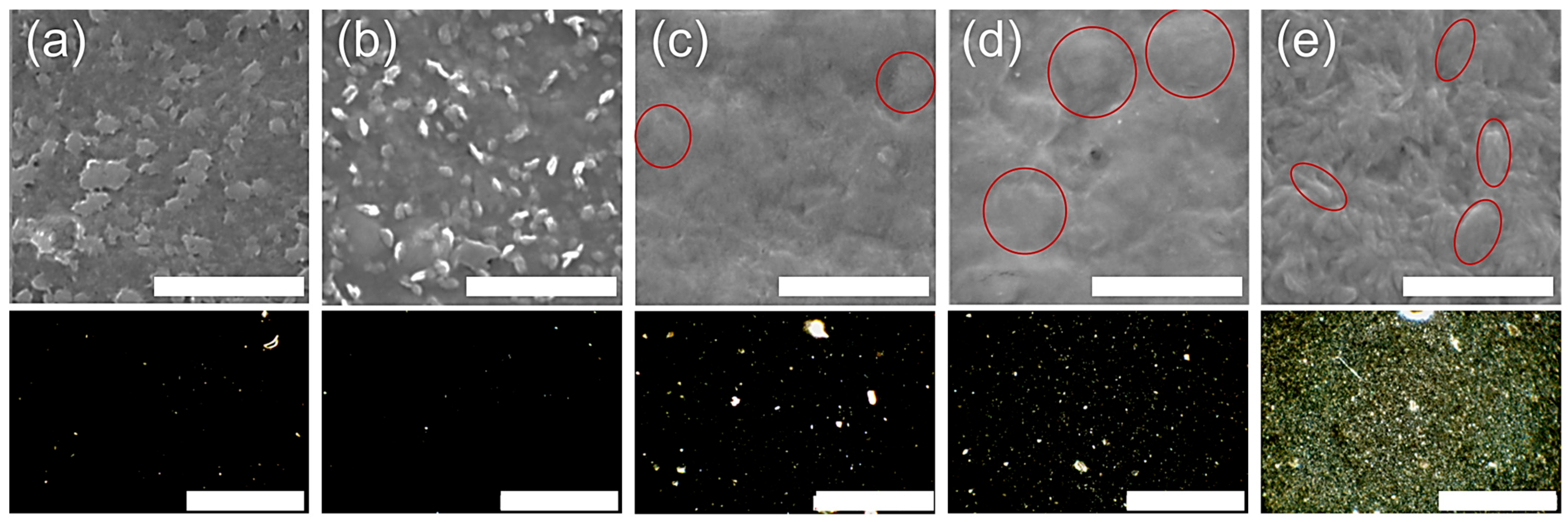 Polysaccharides 06 00043 g003 Polysaccharides 06 00043 g003
