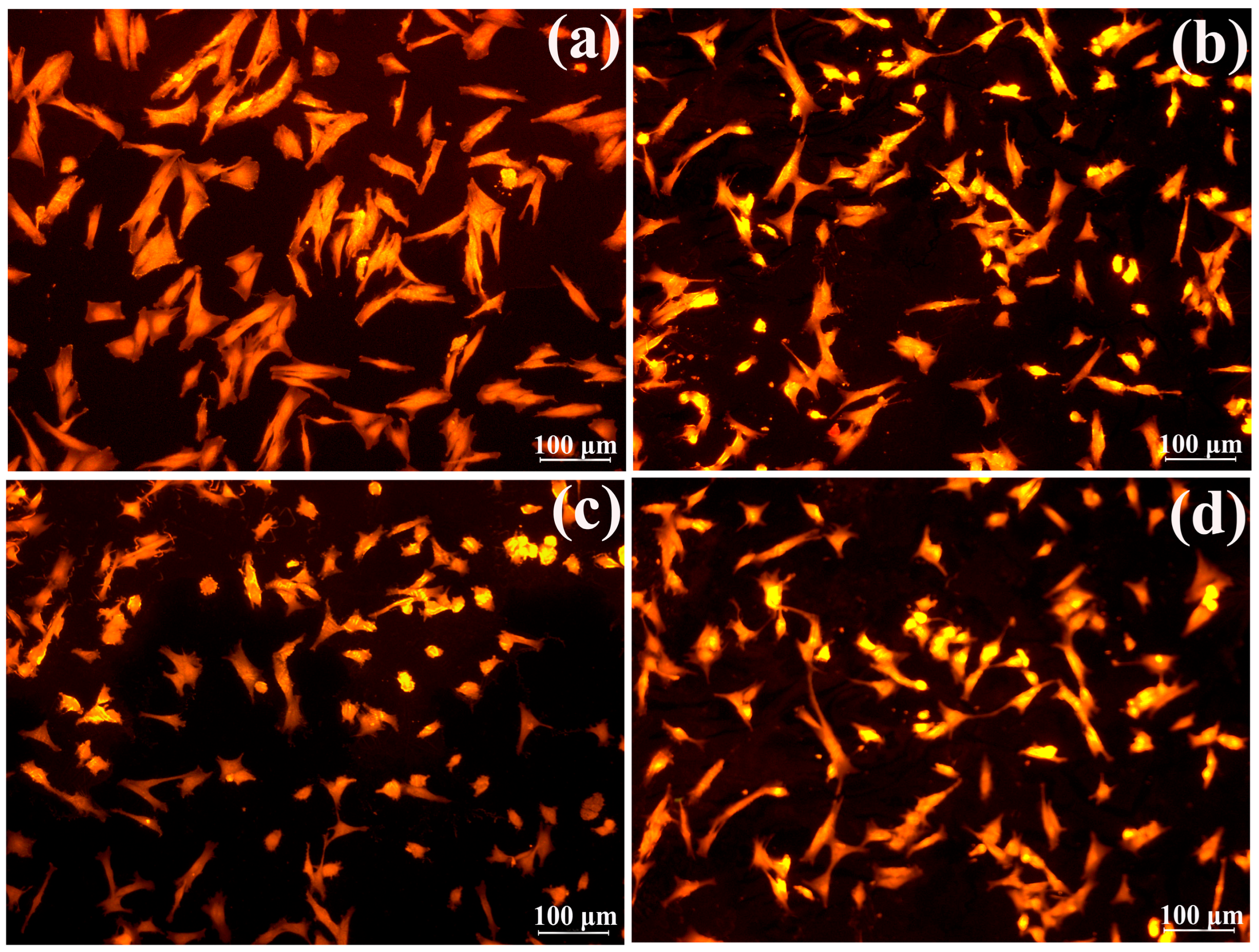 Polysaccharides 06 00043 g008 Polysaccharides 06 00043 g008