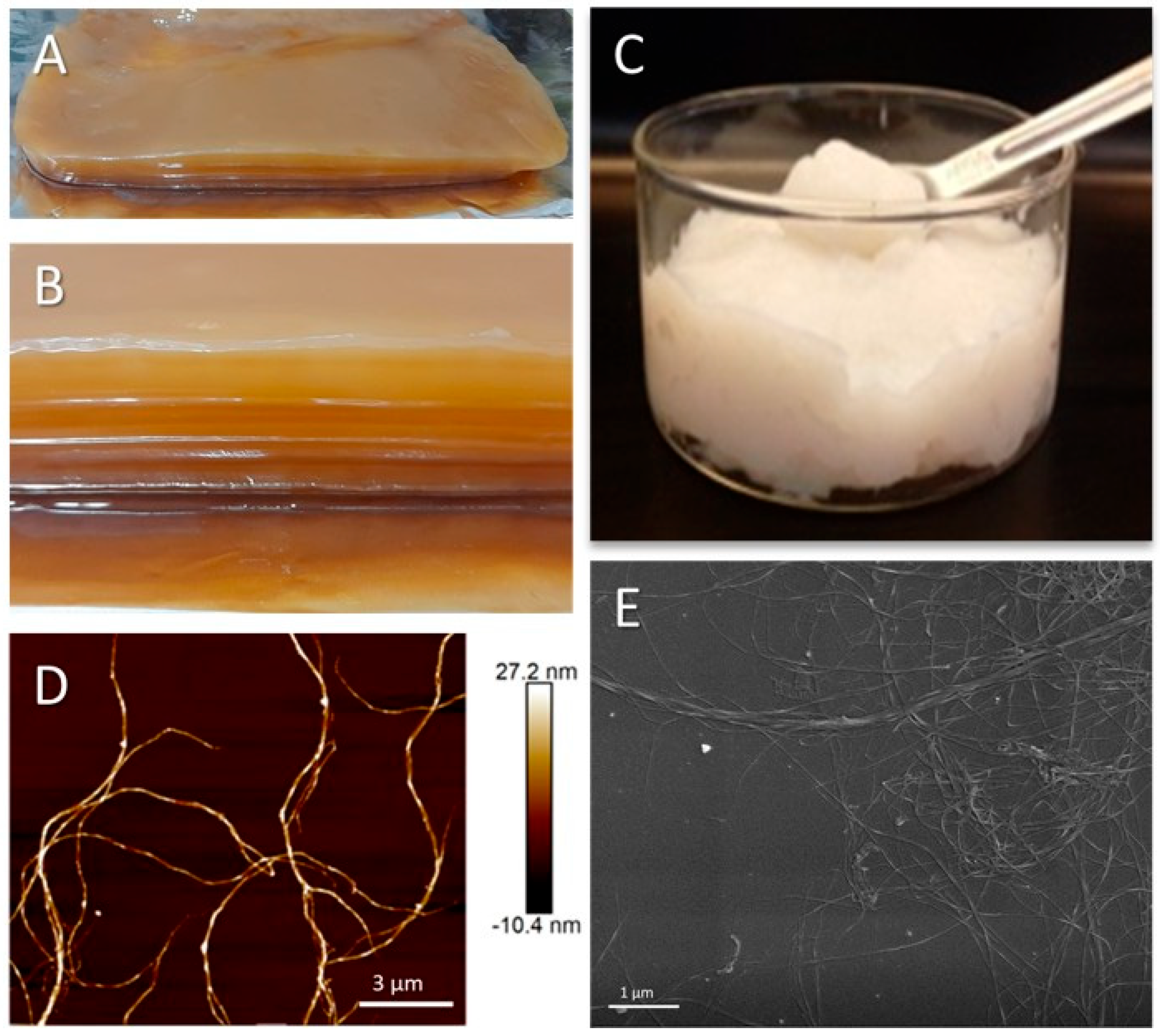 Polysaccharides 06 00044 g001