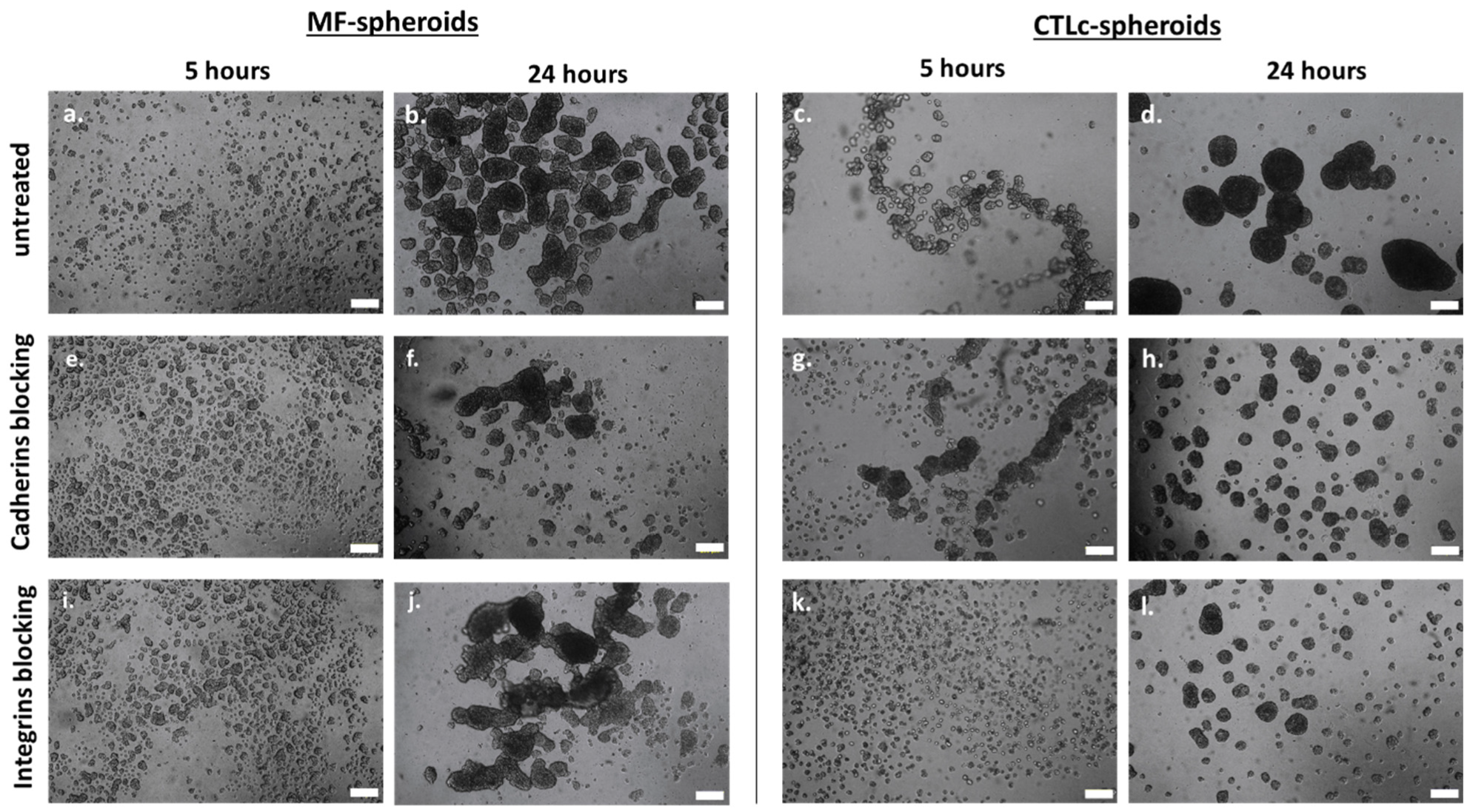 Polysaccharides 06 00047 g001