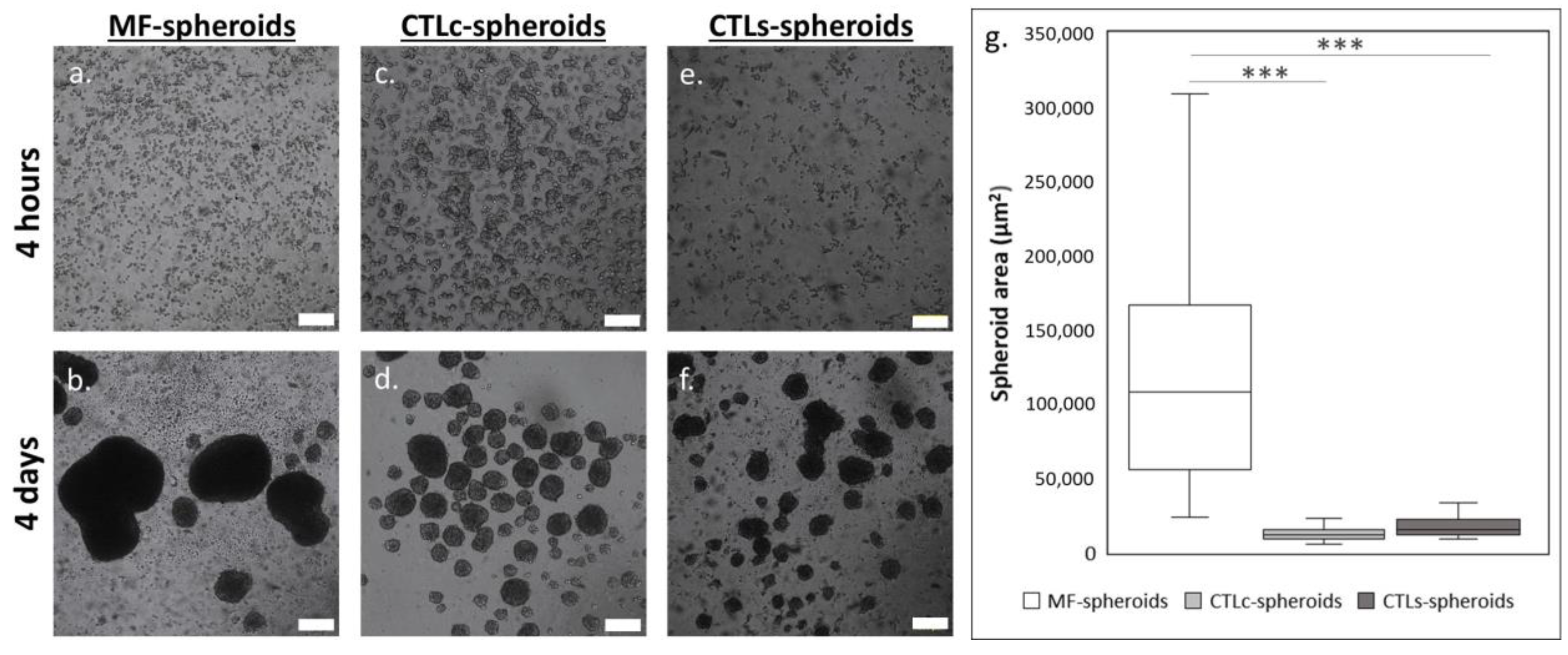 Polysaccharides 06 00047 g004