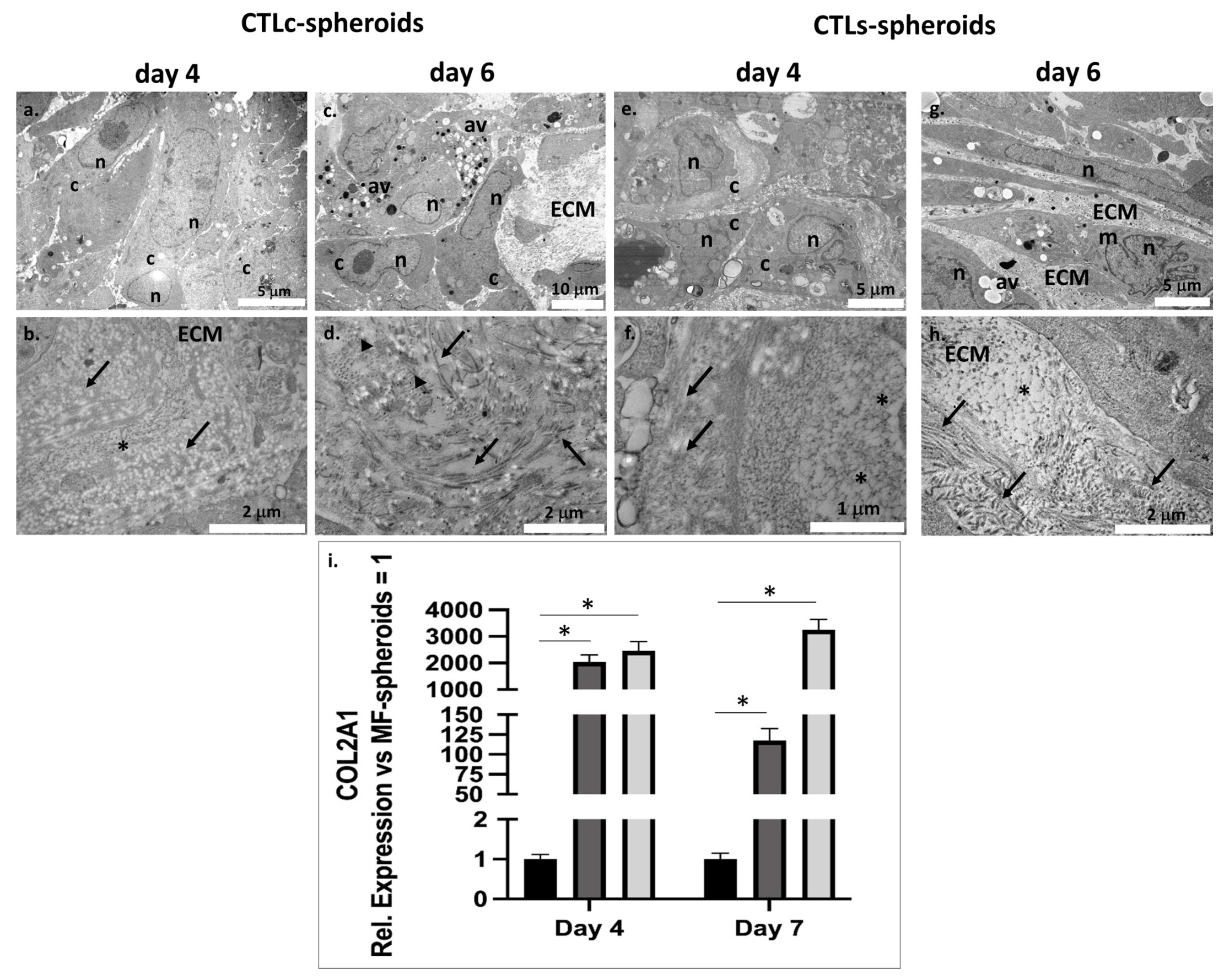 Polysaccharides 06 00047 g007