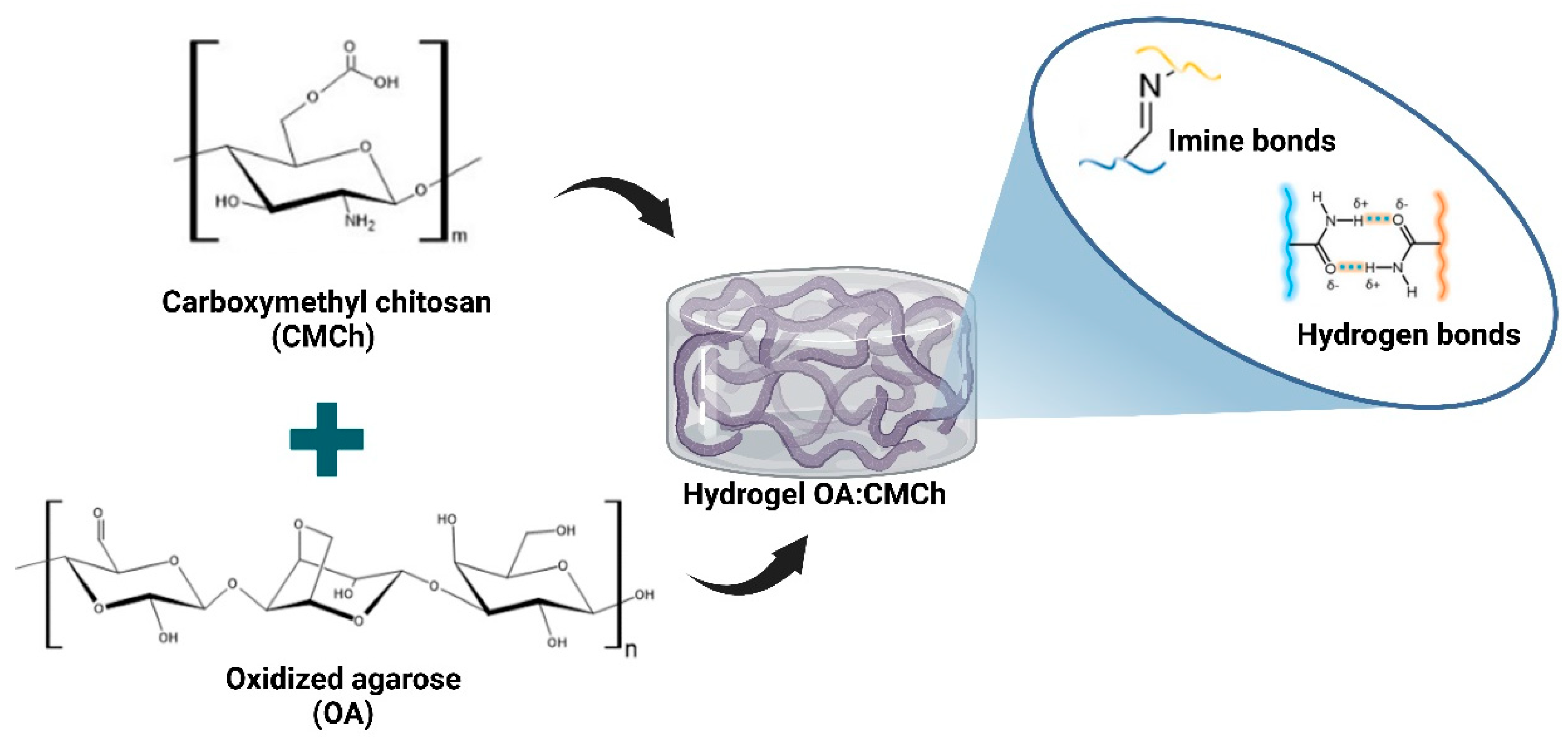 Polysaccharides 06 00049 g001