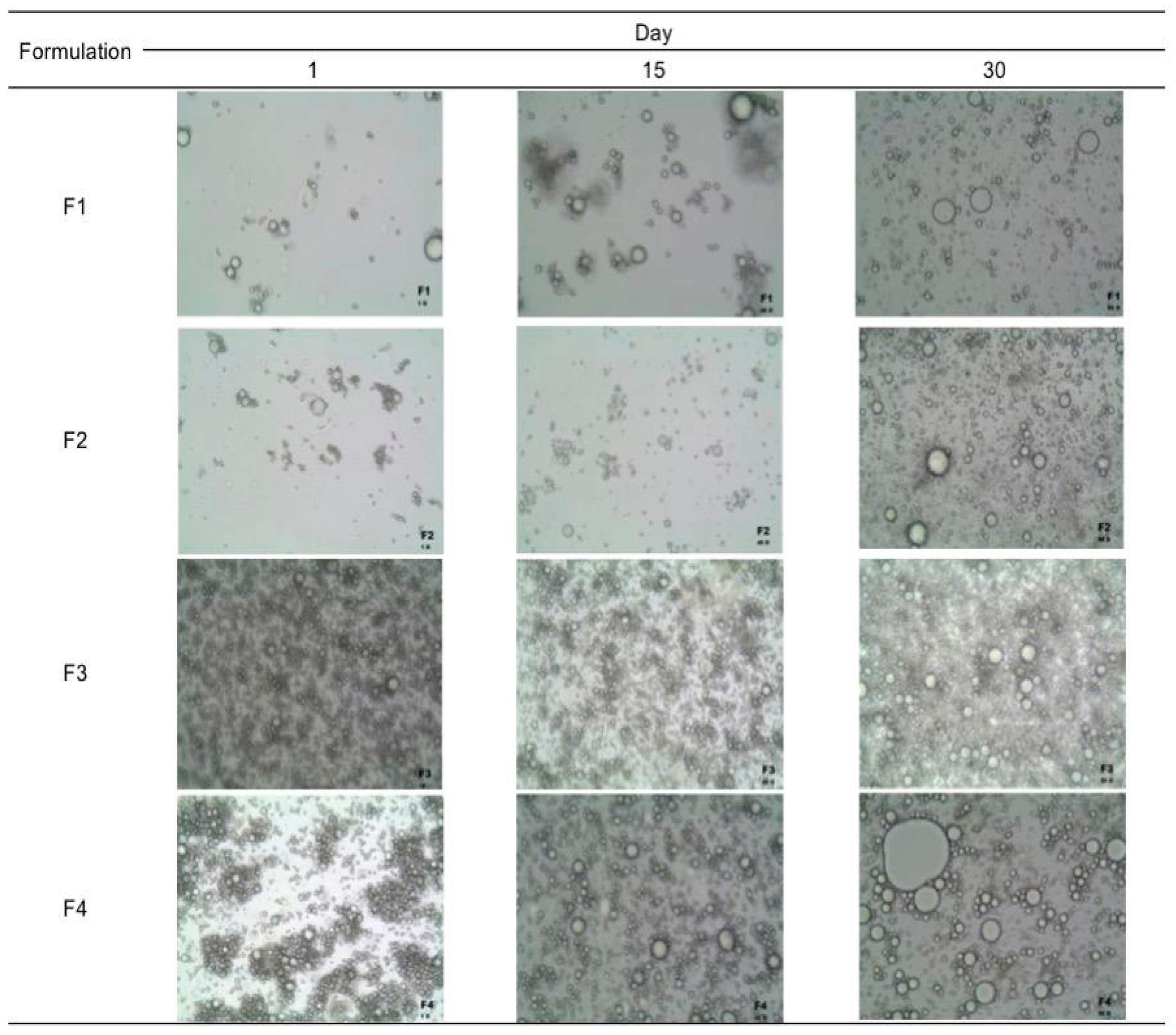 Polysaccharides 06 00051 g002 Polysaccharides 06 00051 g002