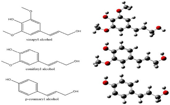 Polysaccharides 06 00053 g003