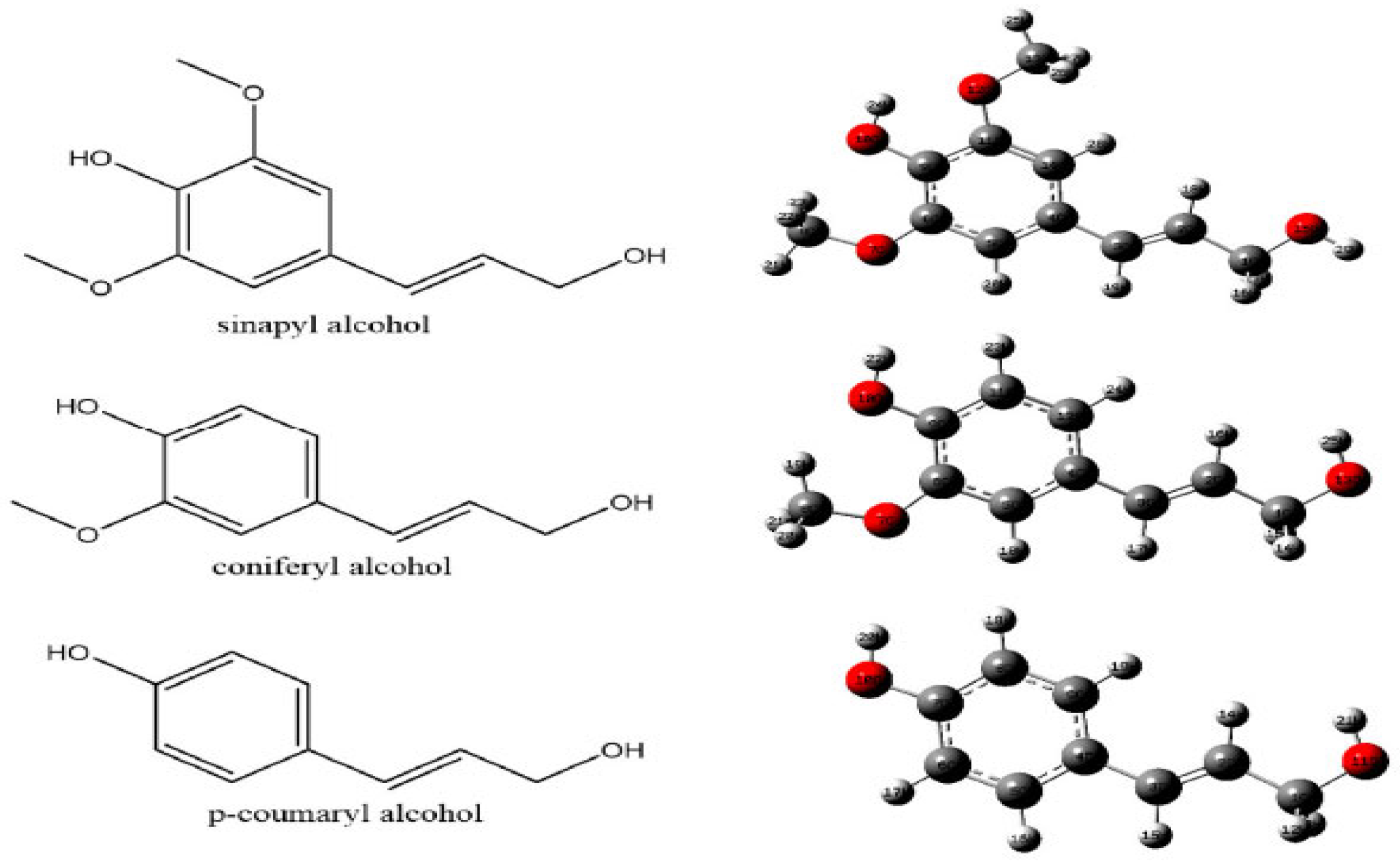 Polysaccharides 06 00053 g003 Polysaccharides 06 00053 g003