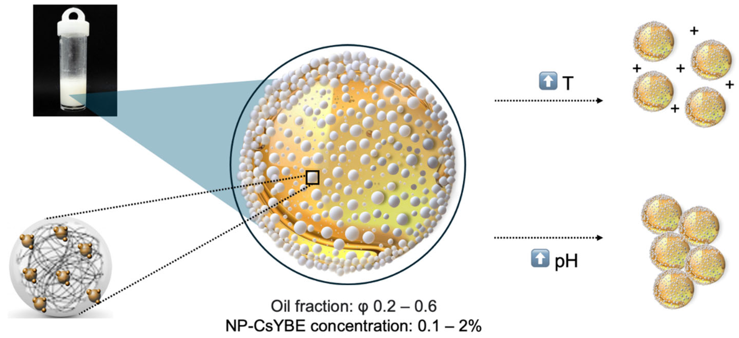 Polysaccharides 06 00056 g010