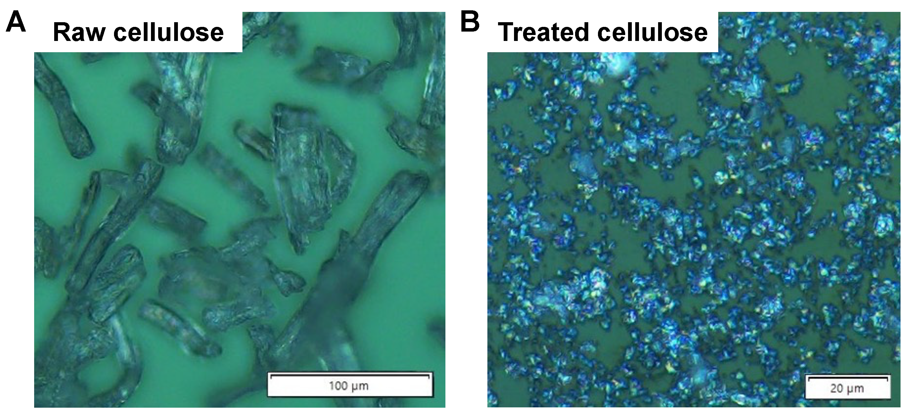 Polysaccharides 06 00061 g001