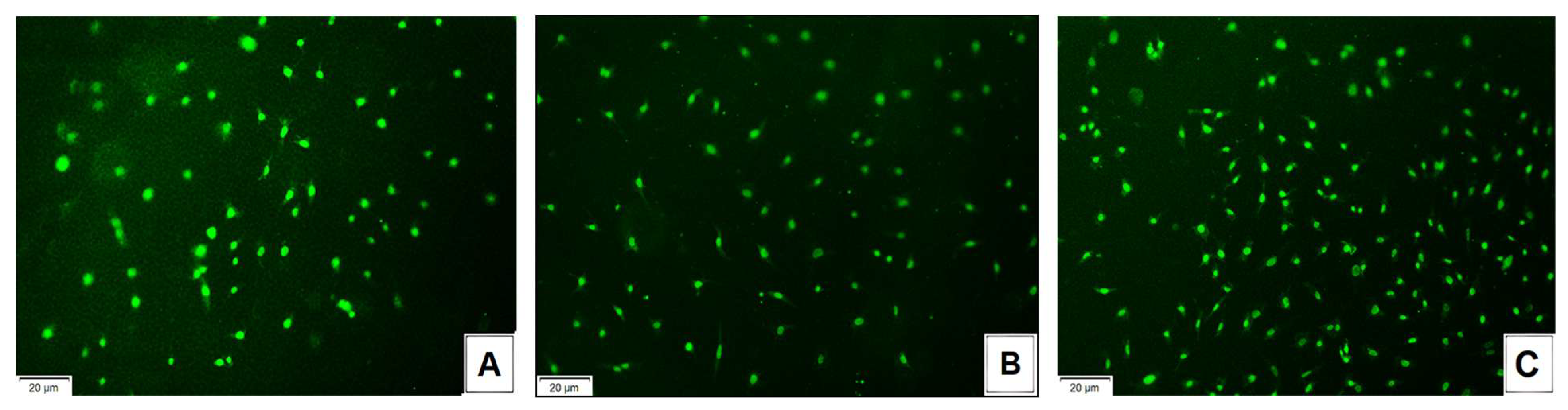 Polysaccharides 06 00063 g006