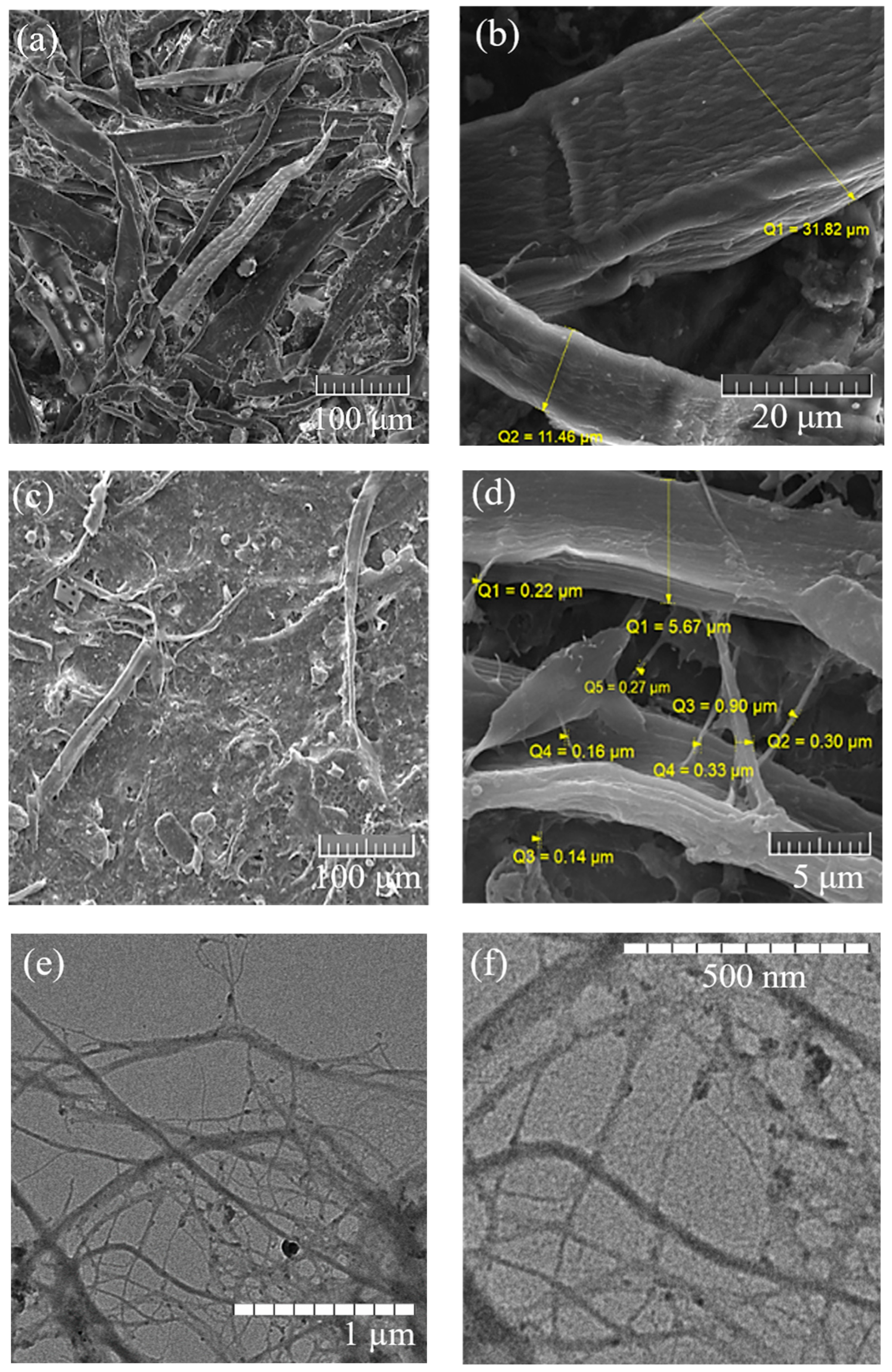 Polysaccharides 06 00070 g001