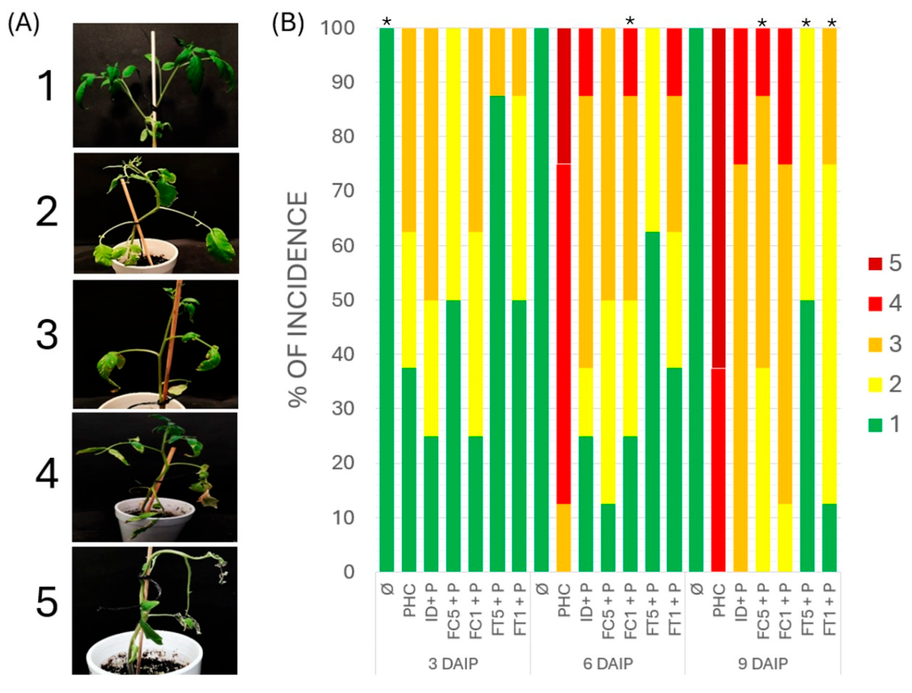 Polysaccharides 06 00072 g002 Polysaccharides 06 00072 g002