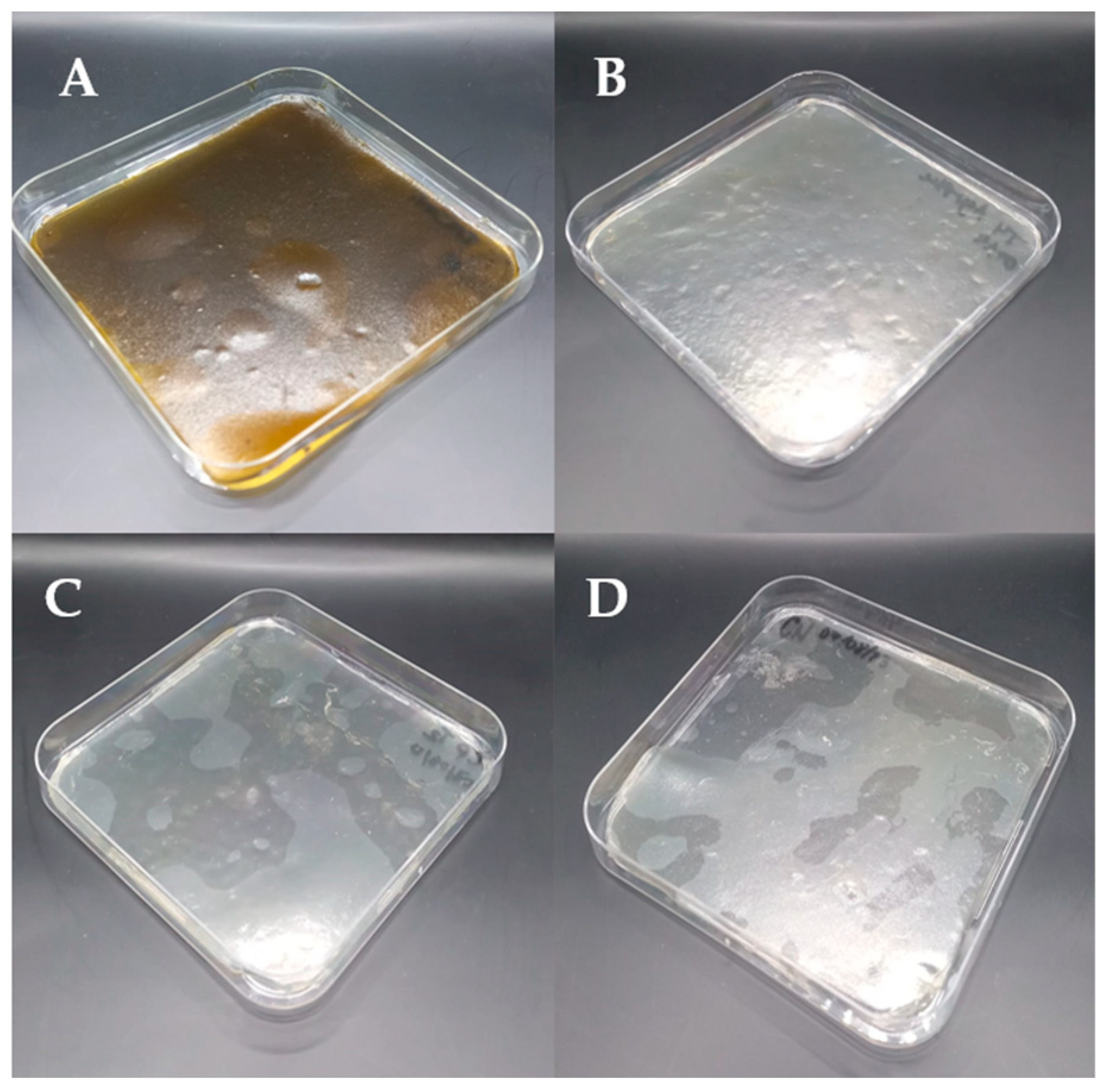 Polysaccharides 06 00075 g002