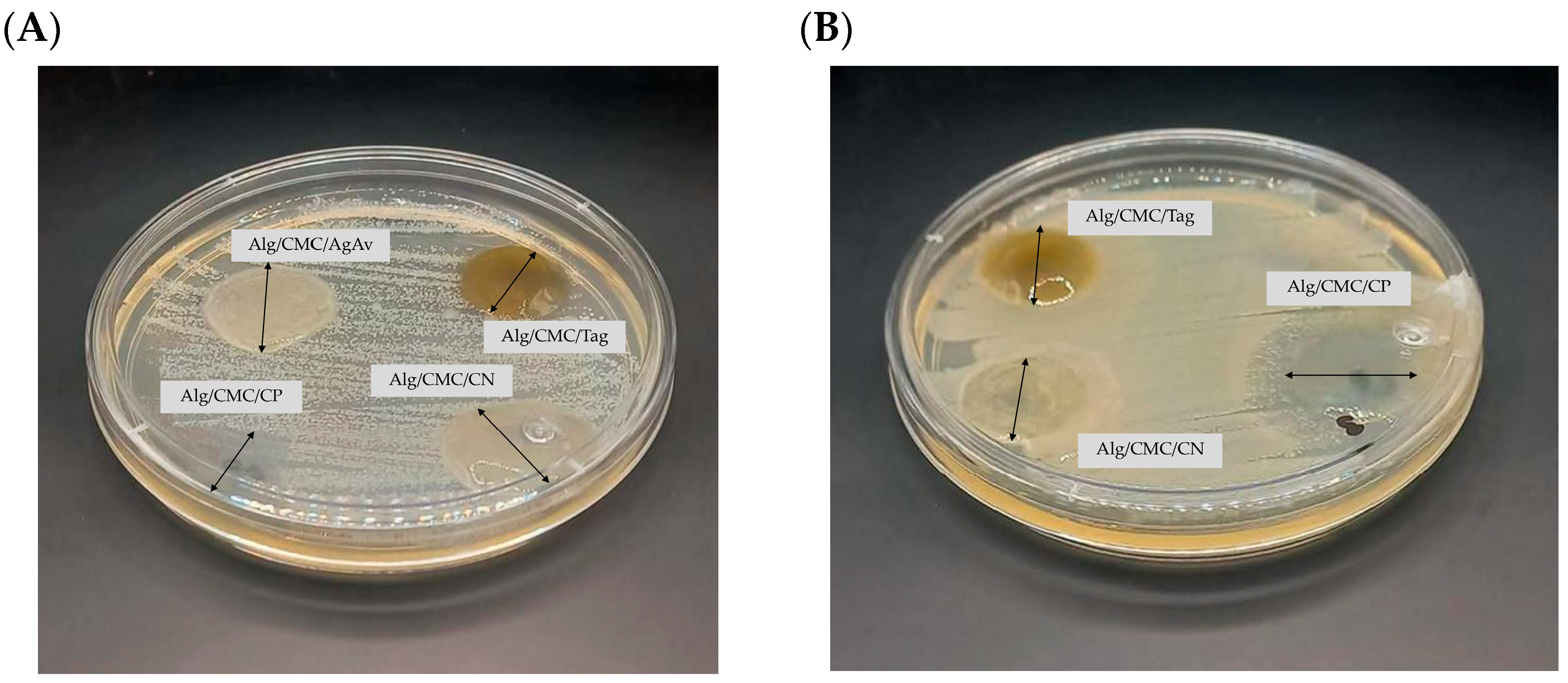 Polysaccharides 06 00075 g004