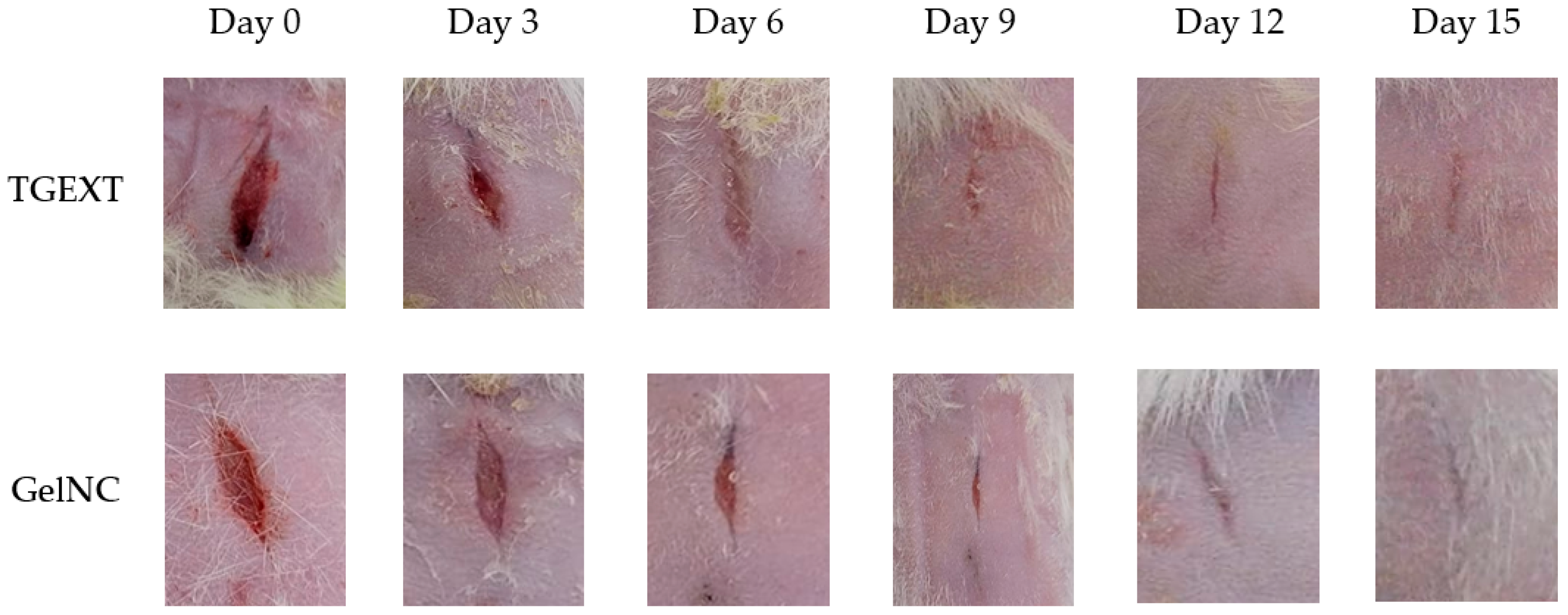 Polysaccharides 06 00075 g005
