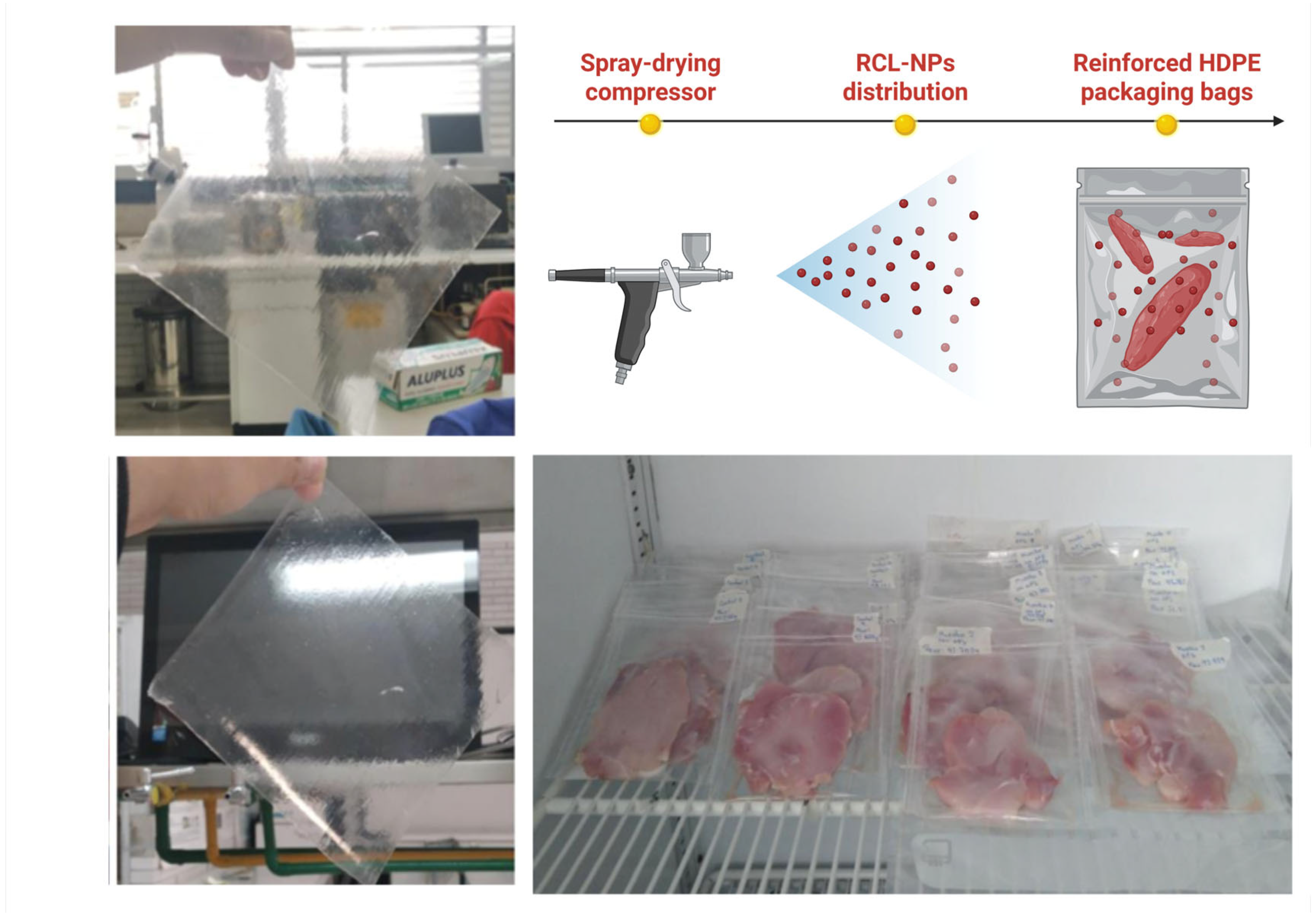 Polysaccharides 06 00076 g001 Polysaccharides 06 00076 g001
