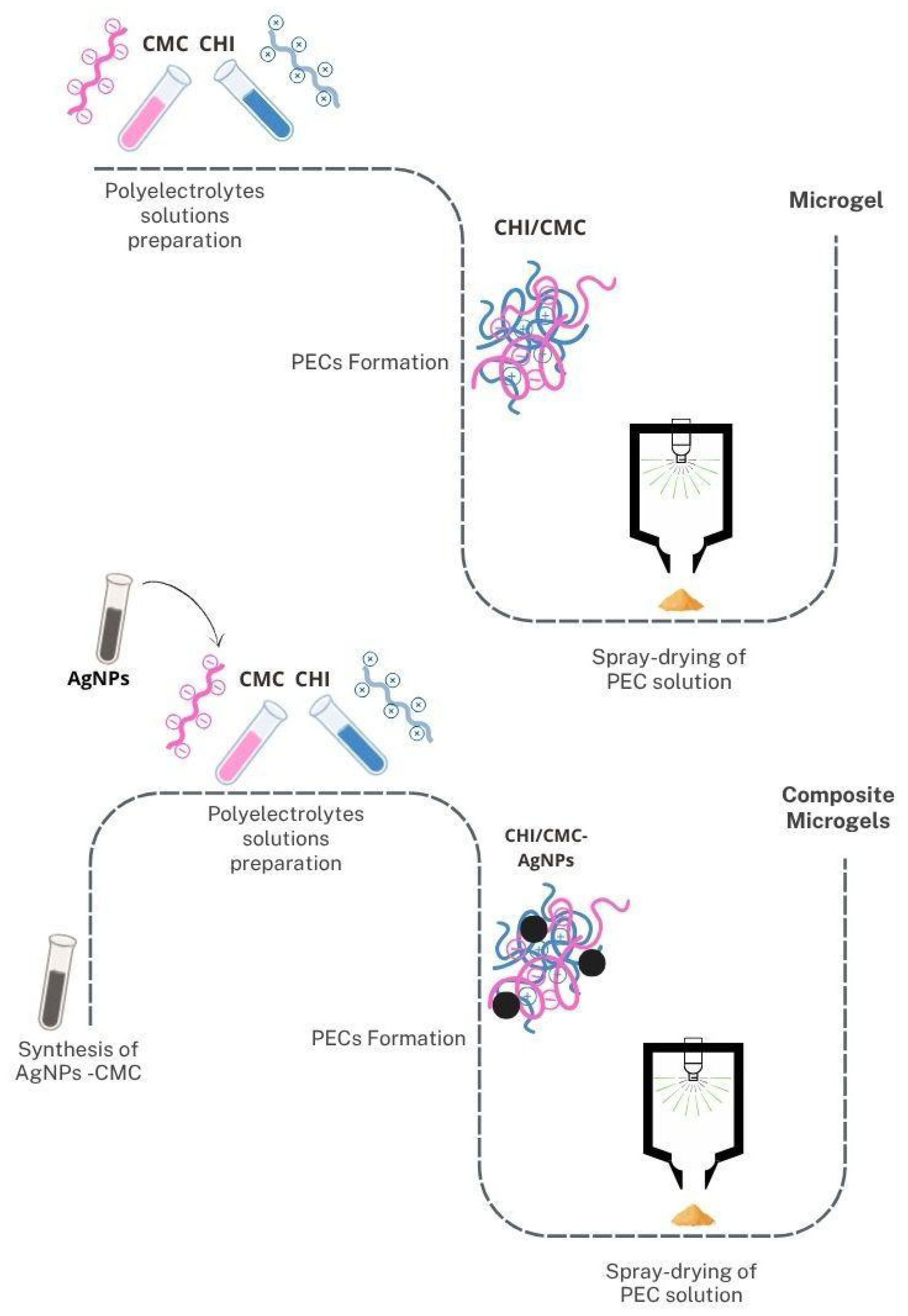 Polysaccharides 06 00084 g001