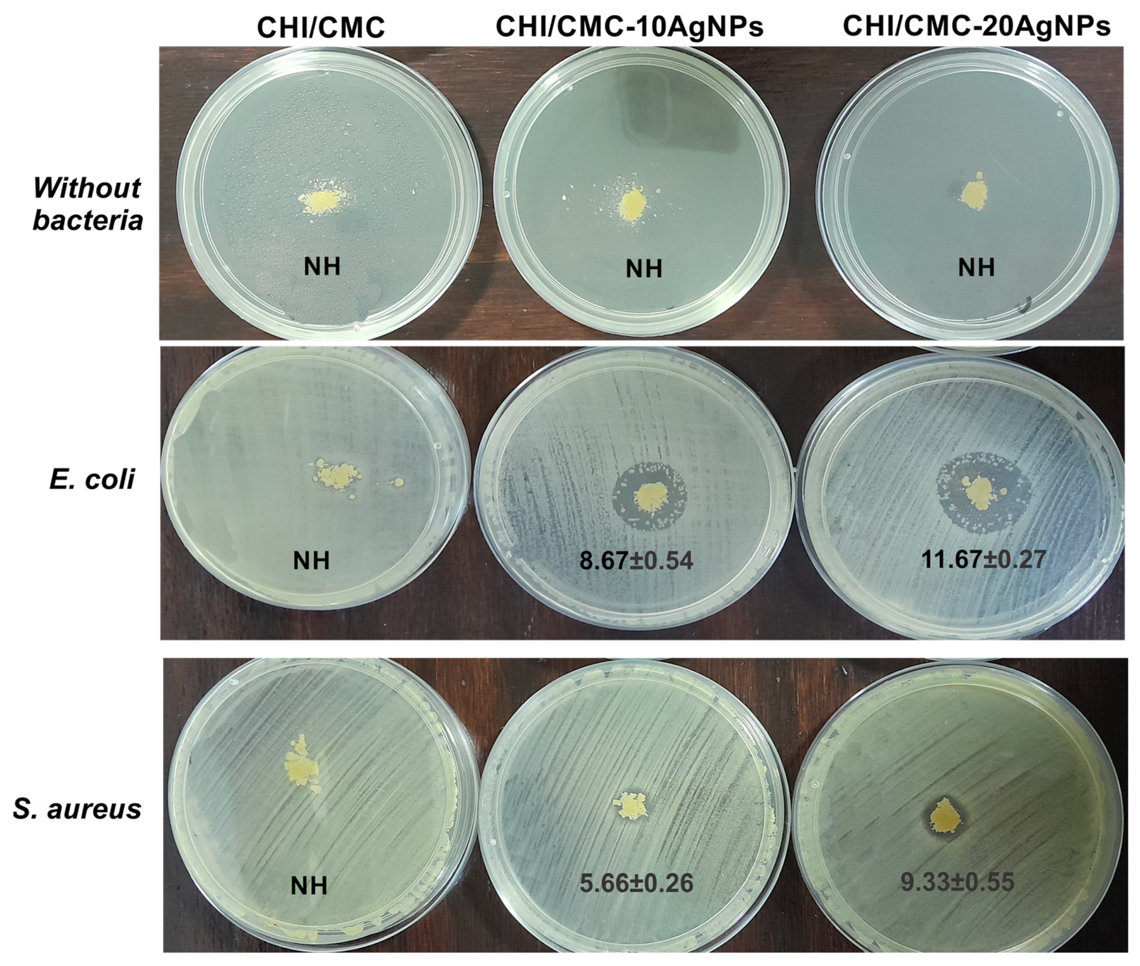 Polysaccharides 06 00084 g008