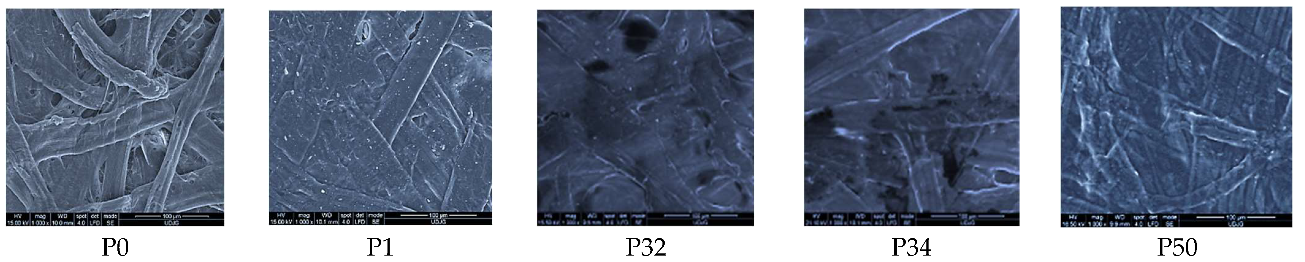 Polysaccharides 06 00085 g005