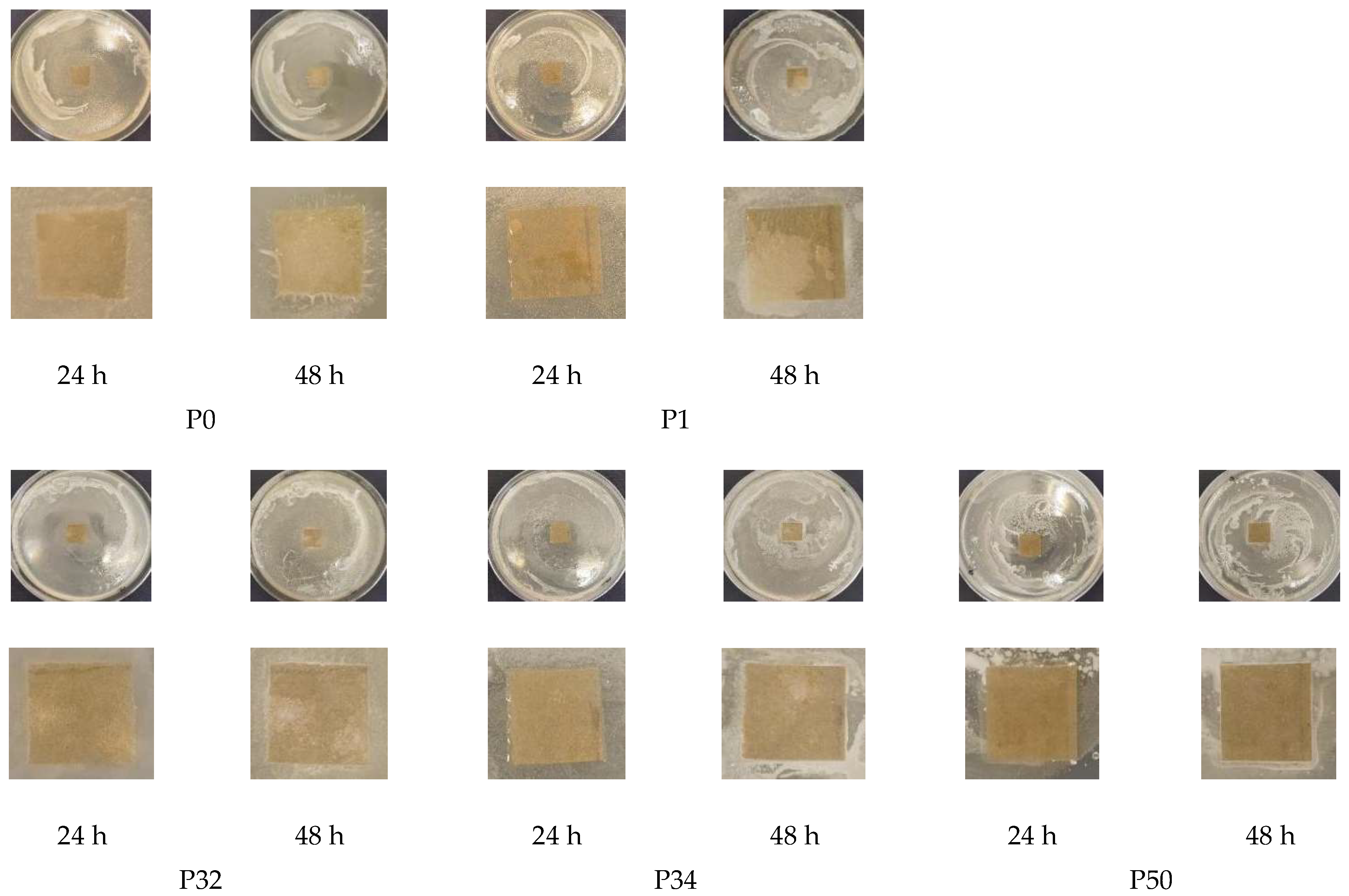 Polysaccharides 06 00085 g007