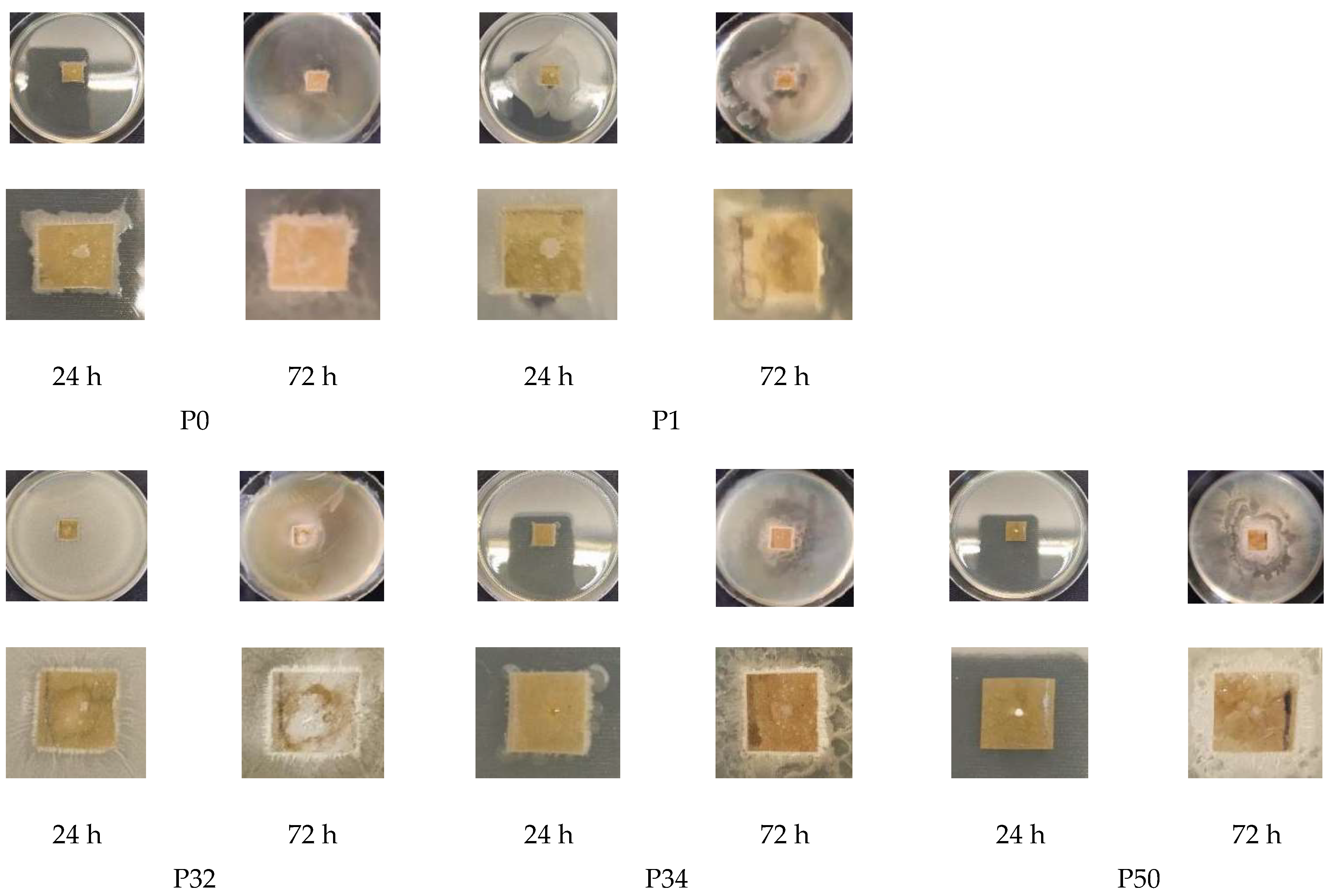 Polysaccharides 06 00085 g008