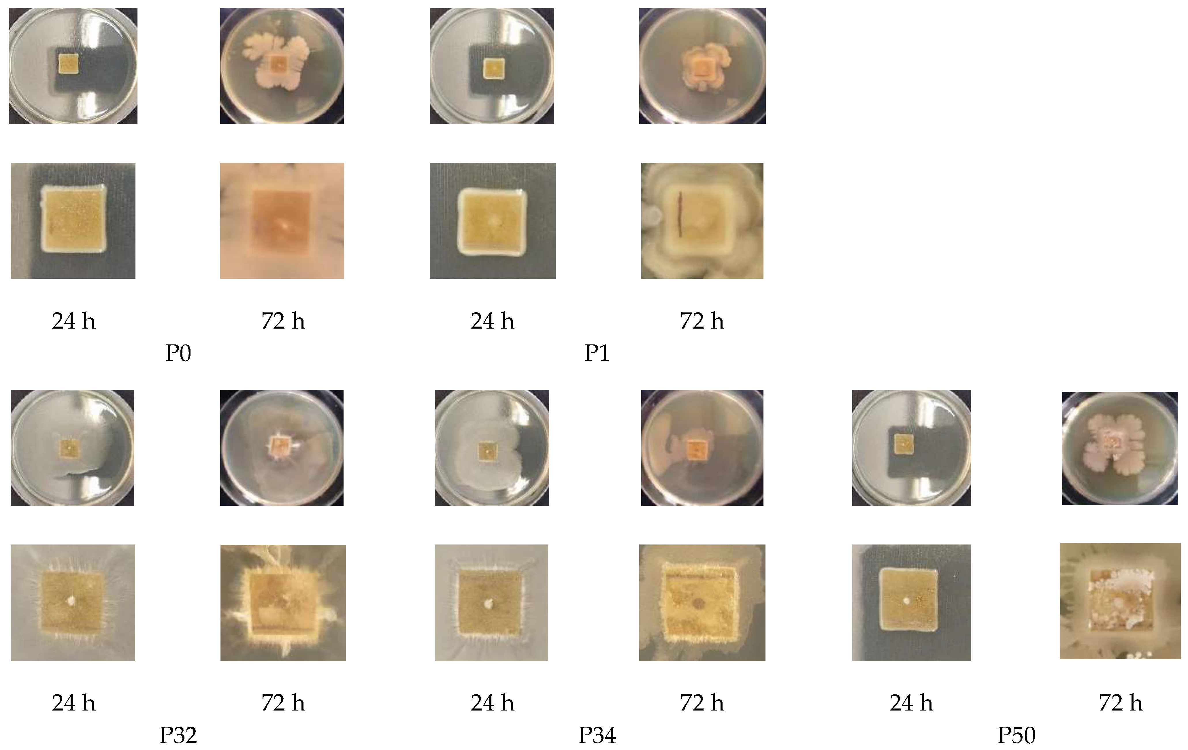 Polysaccharides 06 00085 g009