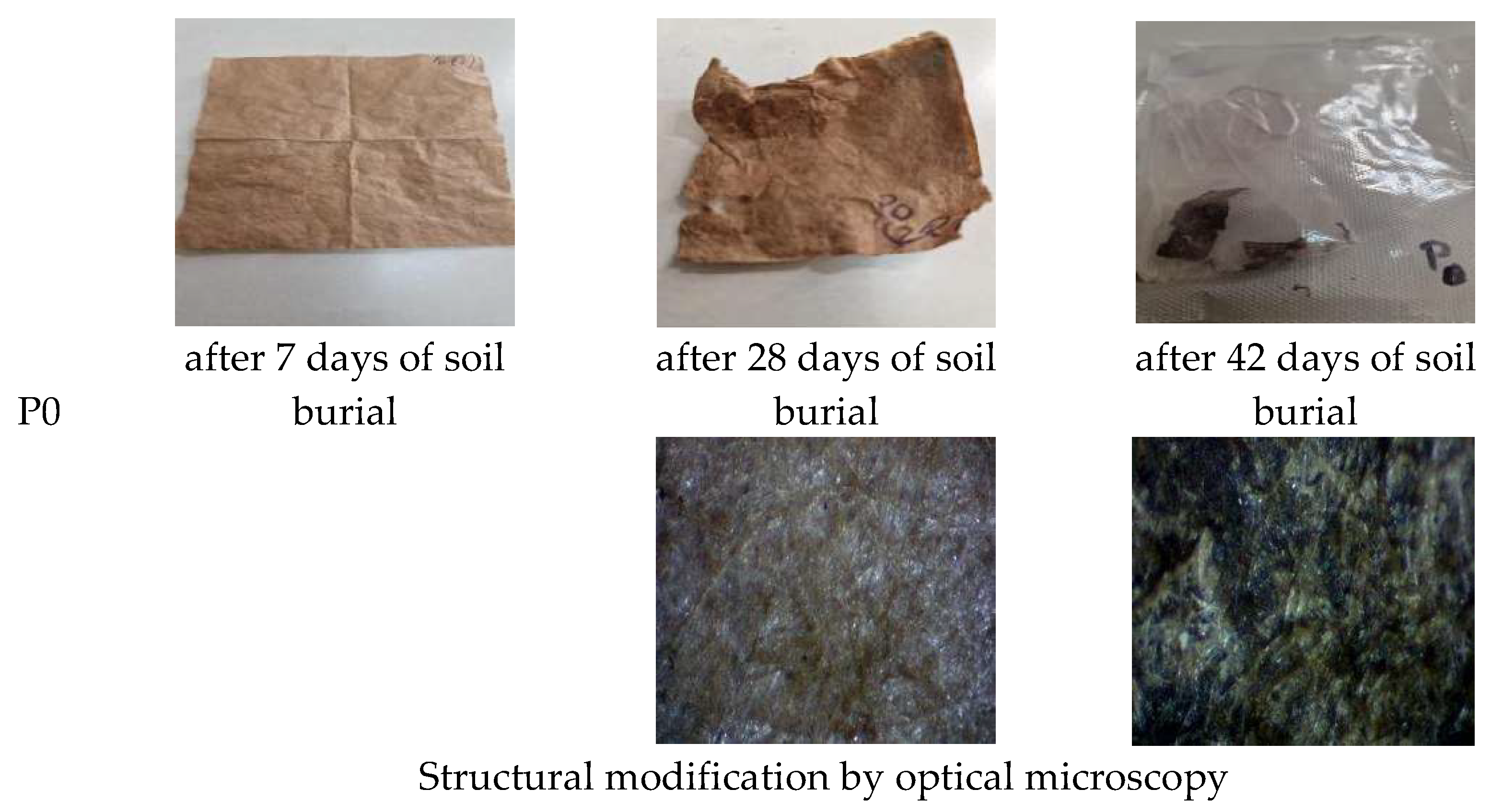 Polysaccharides 06 00085 g010a