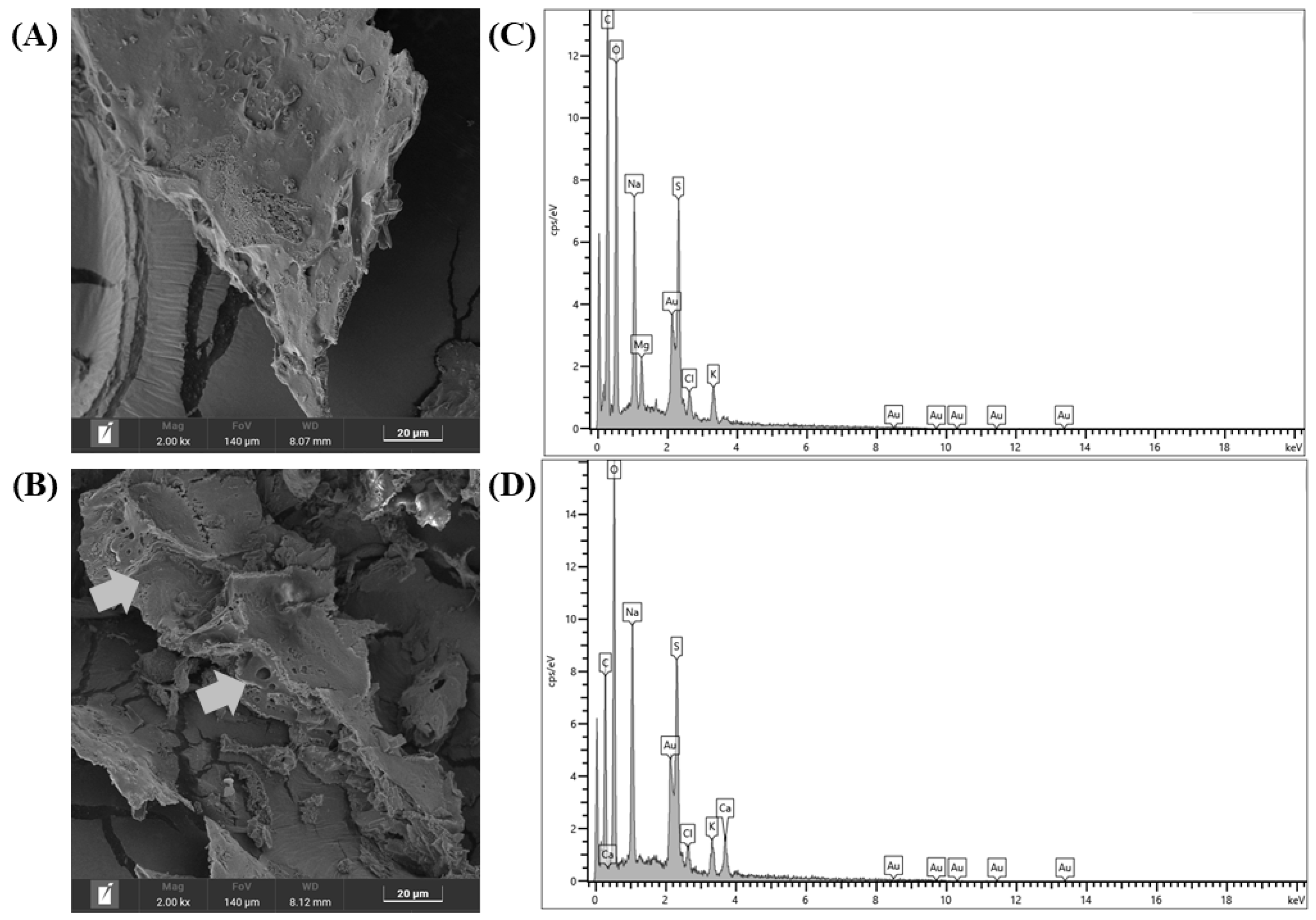 Polysaccharides 06 00089 g006 Polysaccharides 06 00089 g006