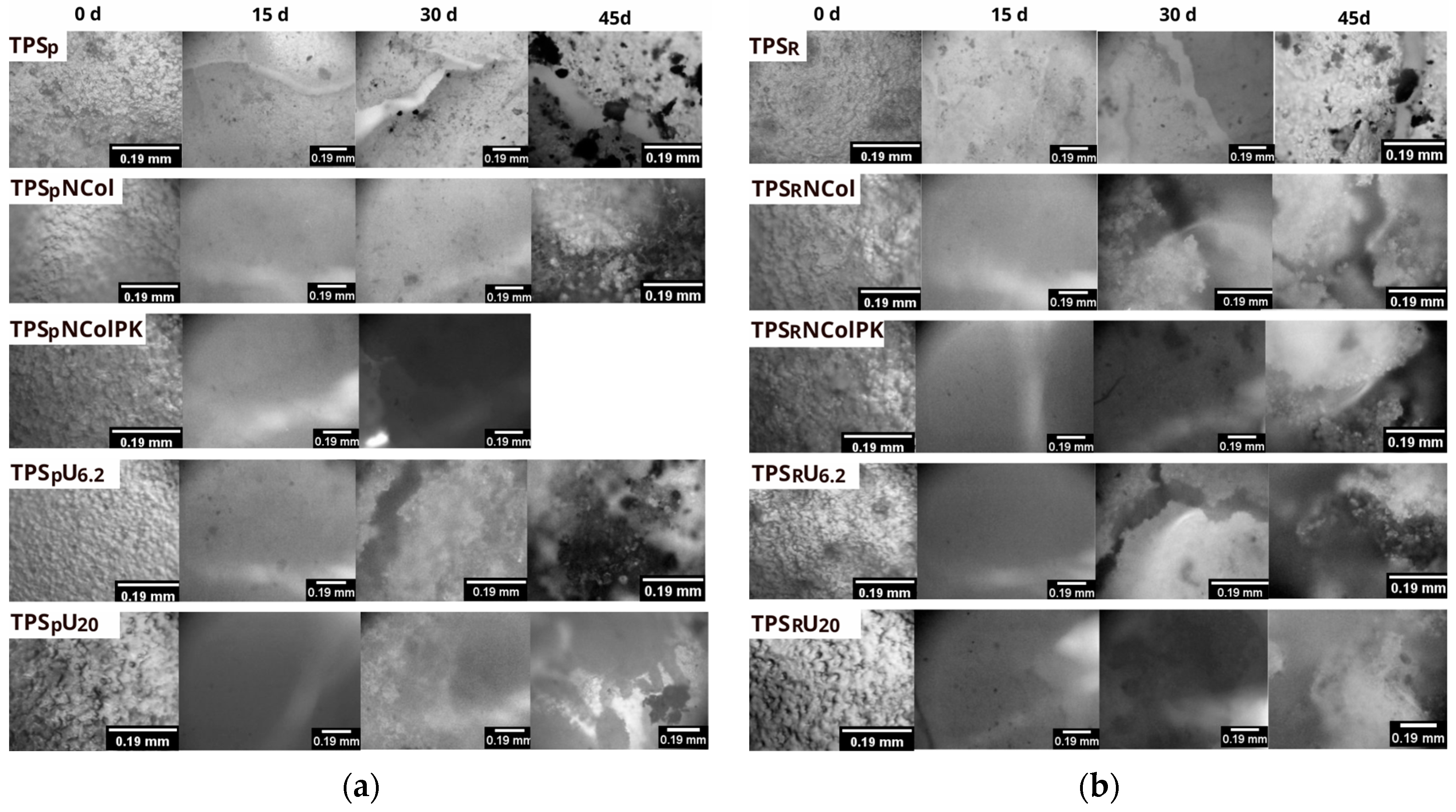 Polysaccharides 06 00113 g006