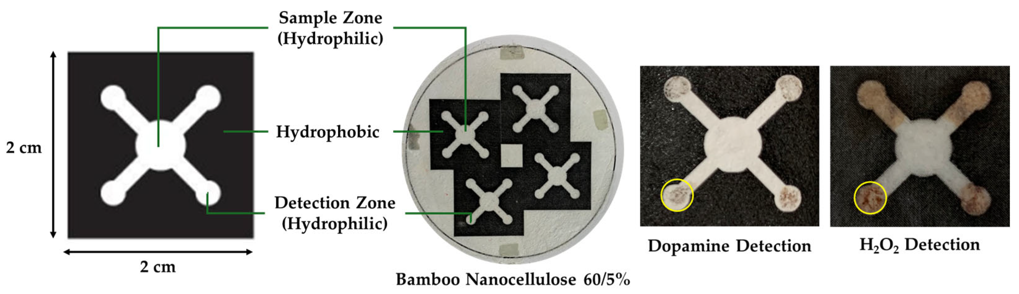 Polysaccharides 07 00014 g002 Polysaccharides 07 00014 g002